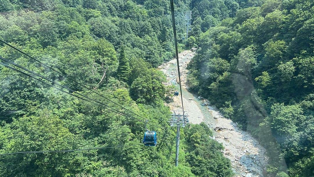 ひらのっちさんのインスタグラム写真 - (ひらのっちInstagram)「フジロック2023！ 天気は多少雨降ったり止んだりで涼しくて過ごしやすい！ 今回メンツが良いので思いっきり楽しんできます✨ #フジロック #フジロックフェスティバル #矢沢永吉  #エルレガーデン #ellegarden #fujirock #フジロック2023 #フジロックフェスティバル #フジロックフェスティバル2023 #foofighters #weezer」7月28日 18時03分 - hiranocchi