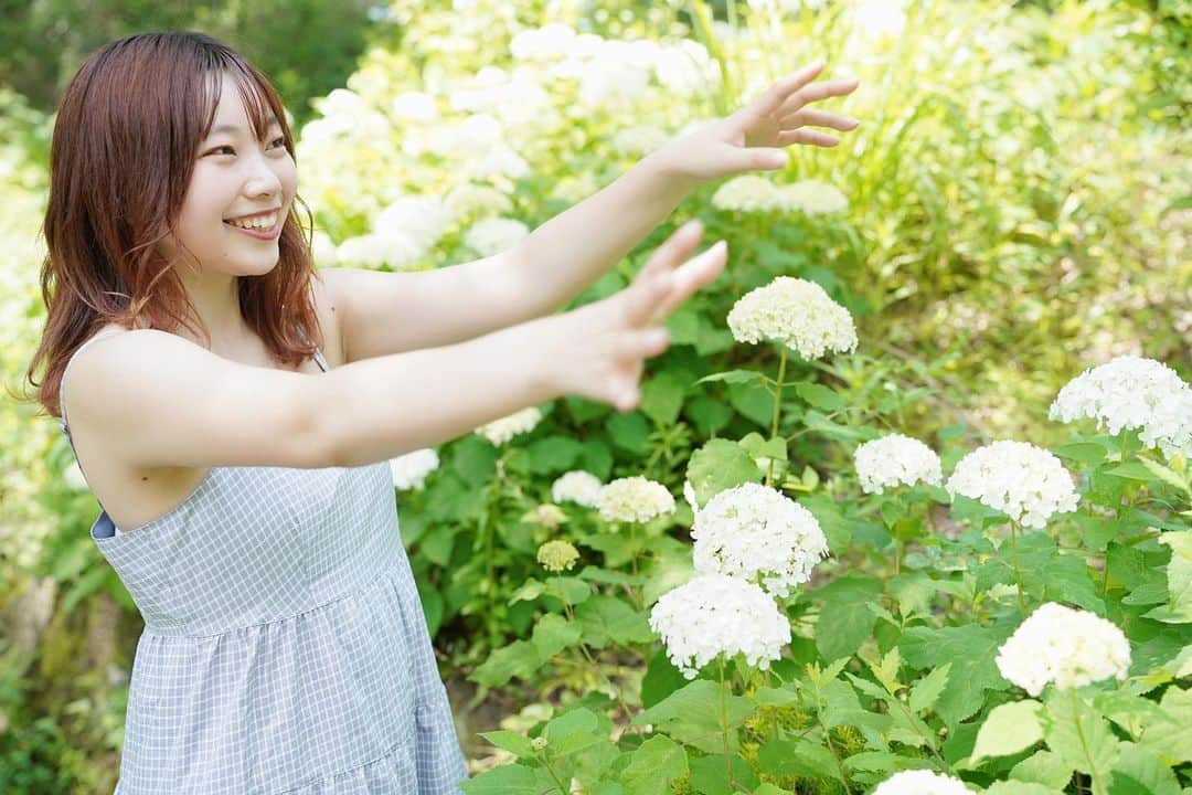 山之内優美さんのインスタグラム写真 - (山之内優美Instagram)「あじさい お花とってもすき🤍  #昭和記念公園  #紫陽花 #あじさい #ポートレート #撮影モデル #撮影会」7月28日 17時57分 - _yuuupochan