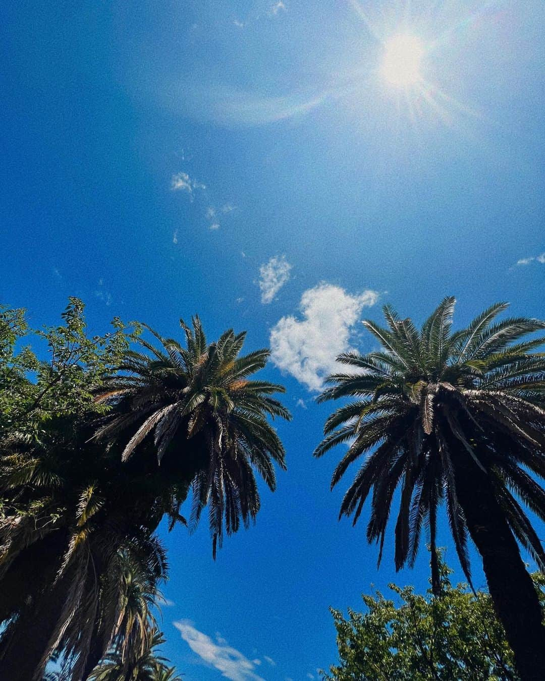 一双麻希 さんのインスタグラム写真 - (一双麻希 Instagram)「先日、初島へ。🏝️👒 東京から2時間で行ける島。熱海からフェリーに乗って⛴️ やっぱり島旅好きだなぁ。 島っぽいローカル感もありつつ、 グランピング施設もあったりバーベキューできたり、 色々楽しめる、歩いてでも回れる小さな島でした✨ 次はゆっくりシュノーケリングしたいな🐠  #初島 #海も山も好き   #島旅 #旅好き #旅好き女子  #国内旅行 #アウトドア女子 #海が好き #女子旅 #夏写真 #海が好き #自然が好き #旅が好き #自然写真 #海写真 #海が好き #アウトドア好き #キャンプ女子 #山好き #山ガール #熱海 #離島 #旅行コーデ #旅好きな人と繋がりたい #japantrip #naturephotography」7月28日 17時57分 - isso_maki315