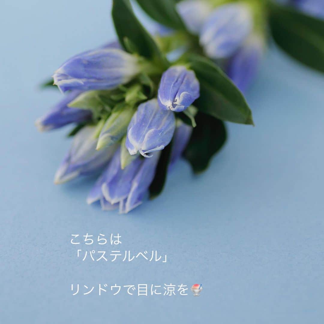 雑誌『花時間』さんのインスタグラム写真 - (雑誌『花時間』Instagram)「リンドウって素敵ですよね。  花時間（@hanajikan_magazine）です。  熱したフライパン🍳の上にいるような毎日。大変な夏ですね💦  いま、飾るなら涼しげなお花。  いまが旬のリンドウで涼みませんか？  1本そのまま飾っても、和の風情があって素敵ですが、切り分けると、おしゃれに楽しめるんです。  ルリタマアザミがなかったら、青系のエリンジウムで代用してもgood👌  葉っぱを撮るだけで、青さが澄み渡りますよ。  このアレンジは発売中の春夏号より📘　本を開くと、涼しげな青の世界が広がりますよ🎵  では、暑さに負けず、元気smile😊😊😊でよい週末をお迎えくださいね！　お疲れさまでした🍉 byピーターパン  花　@bouquetdoux_flower  写真　@tanabe32   【花時間ニュース】 💜『花時間』から、花の定期便がスタートしました🥰　世界でここだけのバラと旬花が届く嬉しいサービスです💕  💜『花時間2023春夏』〈春のピンク！夏のブルー！〉大好評発売中！  💜『花と短歌でめぐる 二十四節気 花のこよみ』大好評発売中  すべて @hanajikan_magazine のプロフィールのリンクから飛べます✈️  『花時間』本誌や書籍は全国の書店、ネット書店でも発売中✨  #花時間 #フラワーアレンジ #青い花 #リンドウ #りんどう #暑い日には #涼しげ #花が好き #花が好きな人と繋がりたい #花を飾る #花を飾る生活 #花屋さんへ行こう」7月28日 18時16分 - hanajikan_magazine