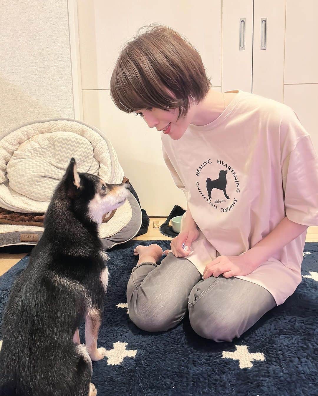 岩瀬玲のインスタグラム：「いくつかサブの「うちの子グッズ」 を作ってもらっている  𝐼𝐴𝑀𝑅 @iamr_store さんでまた新しいアイテムをお願いしました🩵  半袖TシャツGift from pets わんこのシルエットが選べて（もちろん柴犬！） 名前も入れられるの（もちろんsaburo)  色めっちゃ悩んだけど サブが黒柴だから黒いシルエットにしたくて サンドベージュ そしてルーズに着たいのでLサイズ  生地がすごいしっかりしてて 肌触りが良くて サブがずっと上で寝てました😂  しかも2,690円で 送料無料！ めっちゃ安いー かわいいー  色違いも買っちゃおうかな うちの子グッズって何個あっても嬉しい  #IAMR #うちの子グッズ #柴犬 #三郎 #Tシャツ」