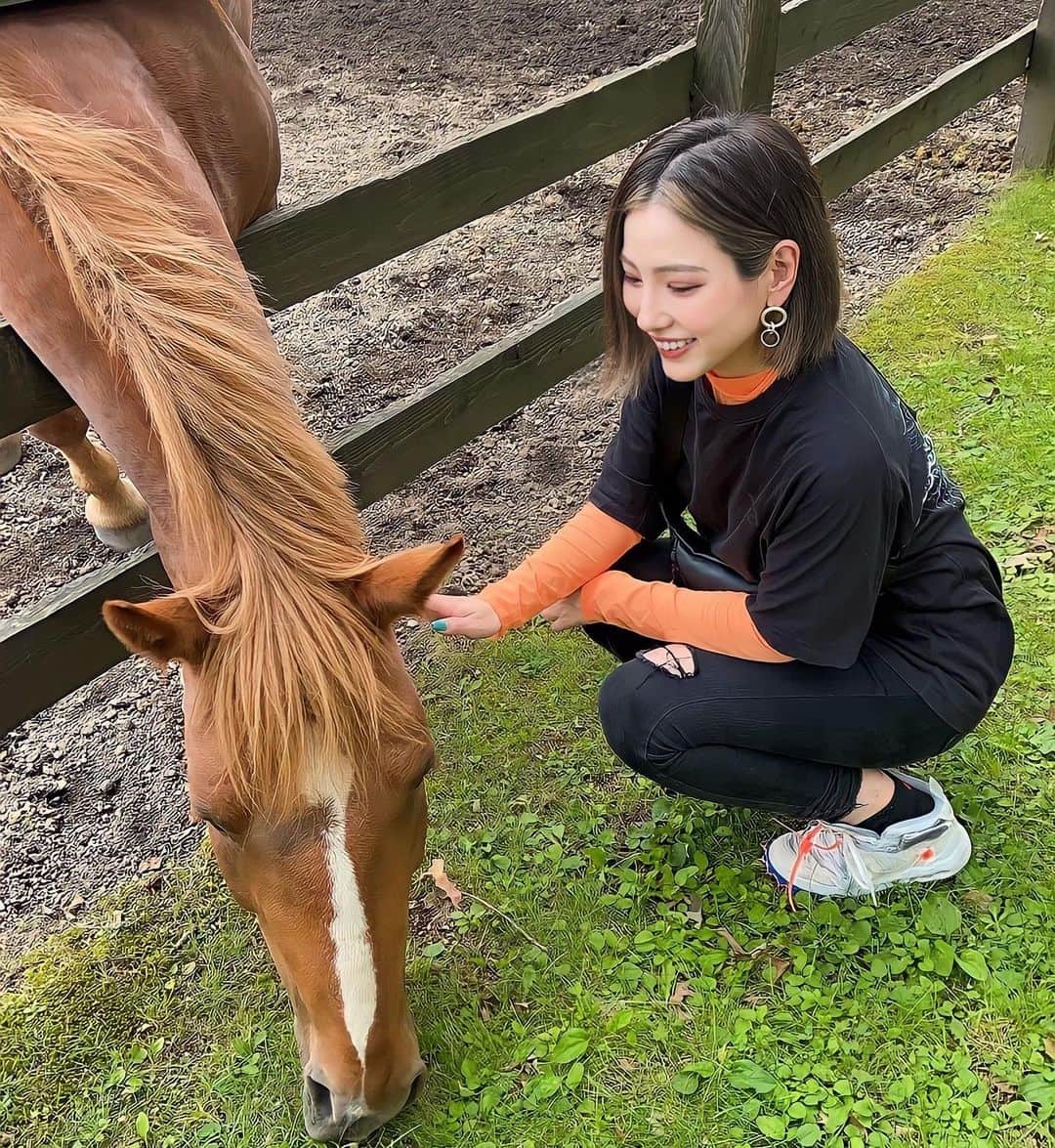 MIOのインスタグラム：「乗馬はできなかったけど馬車には乗ったよ🏇🪽  🐴🐴🐴🐴🐴🐴」