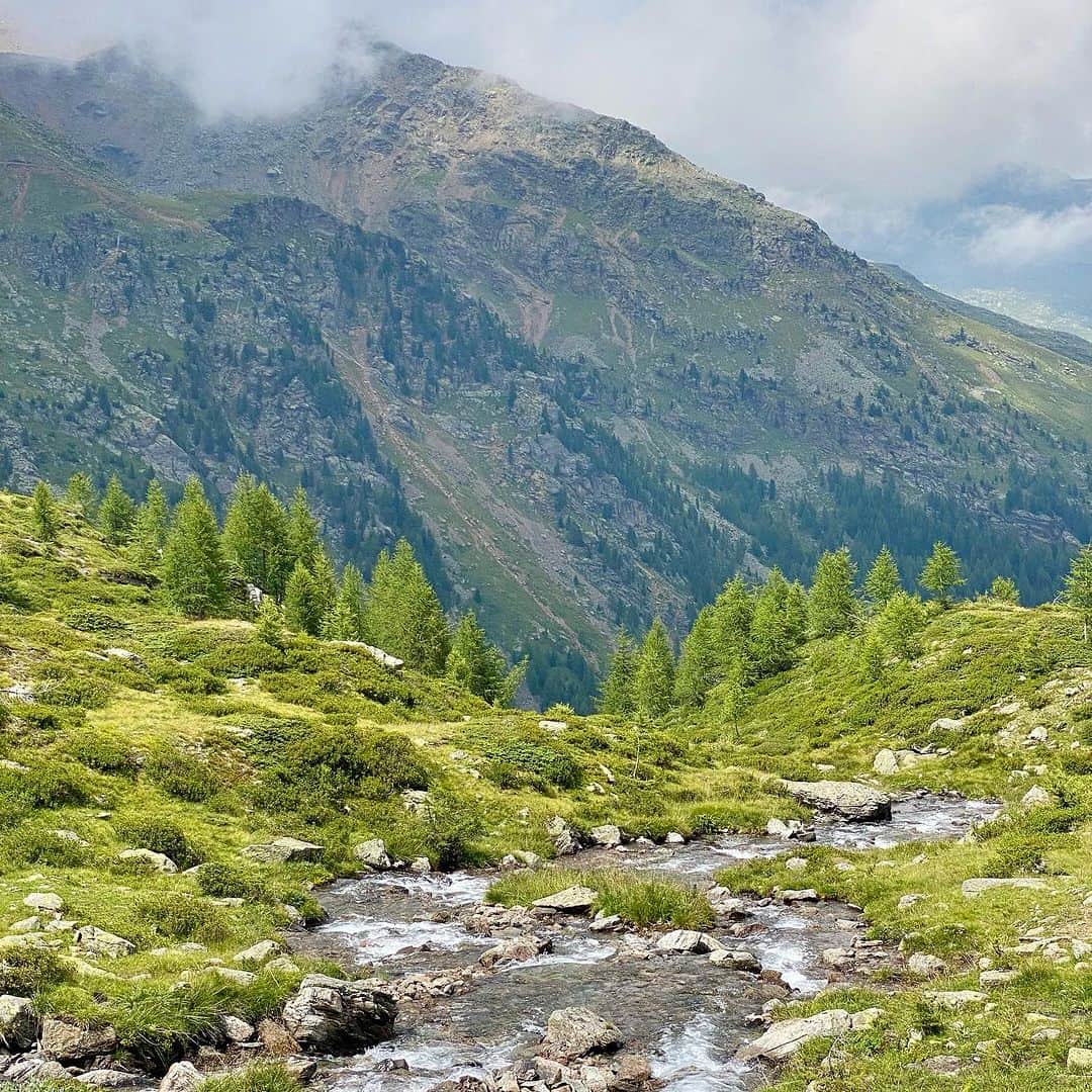 ピエトロ・ボセリさんのインスタグラム写真 - (ピエトロ・ボセリInstagram)「Summer break in Alto Adige. Hikes, cold lakes, crisp air. The perfect recharge.」7月28日 19時17分 - pietroboselli