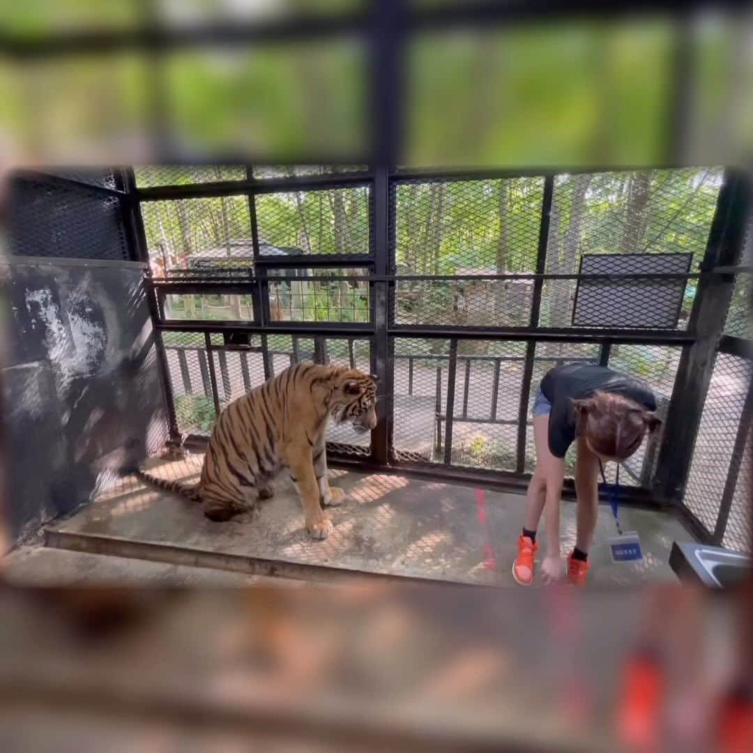 渡邊水希のインスタグラム