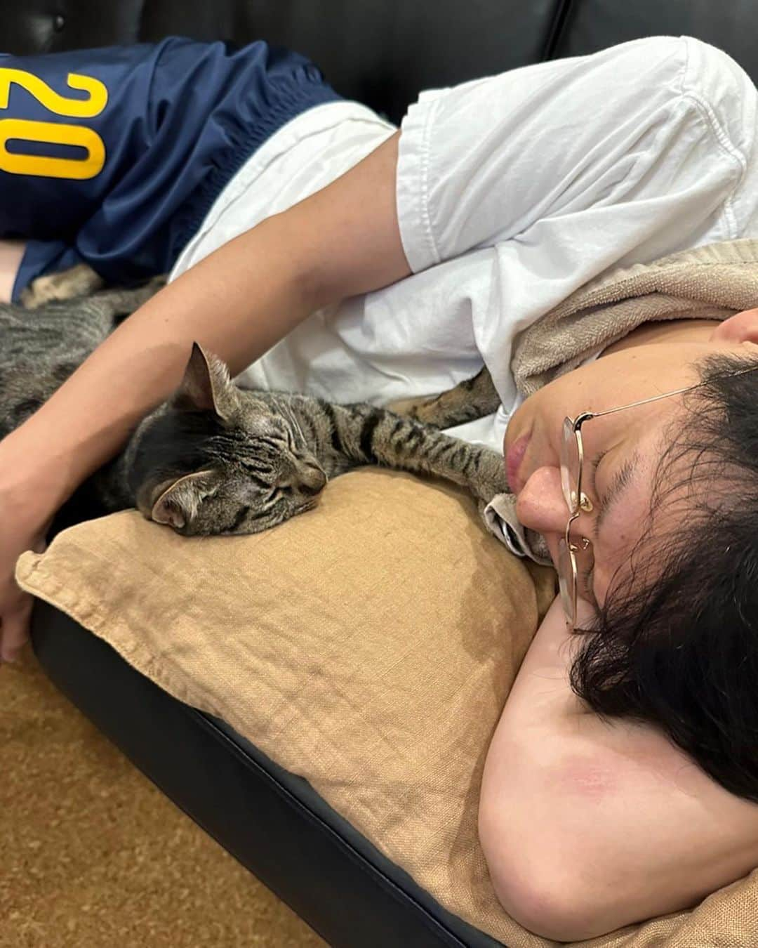 亜生さんのインスタグラム写真 - (亜生Instagram)「久しぶりの猫。 溶けてます。  #兆猛丹猛 #藤 #捨て猫 #保護猫」7月28日 19時27分 - aseihurricane