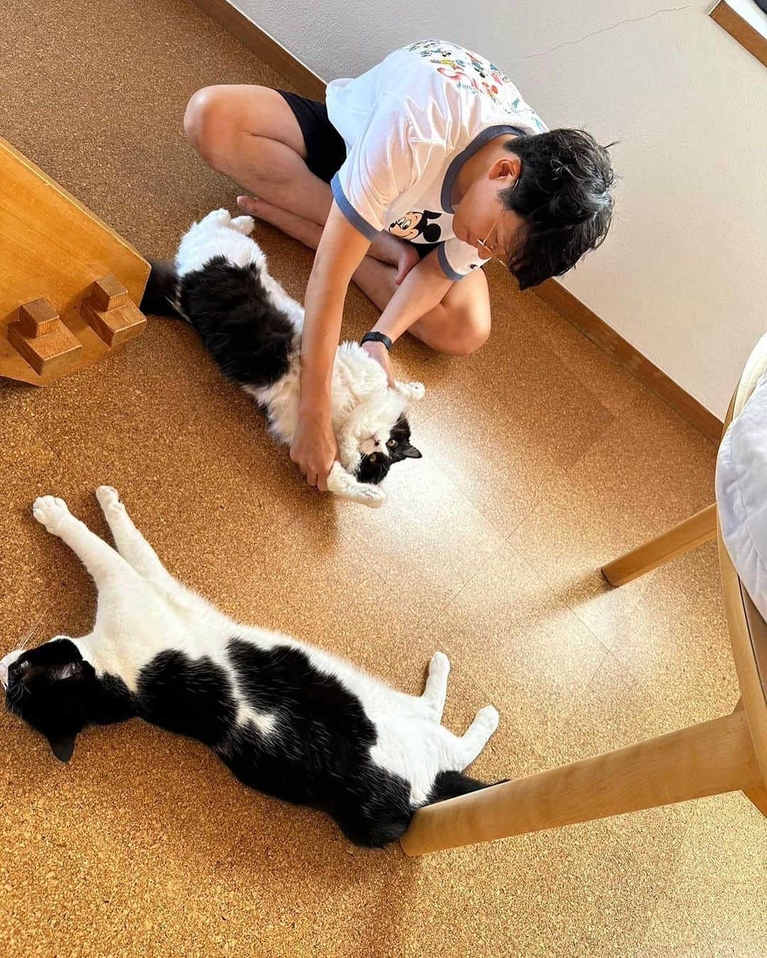 亜生さんのインスタグラム写真 - (亜生Instagram)「久しぶりの猫。 溶けてます。  #兆猛丹猛 #藤 #捨て猫 #保護猫」7月28日 19時27分 - aseihurricane