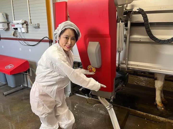 森まさこのインスタグラム：「北海道にて 最新鋭の牛舎(オランダ製)を視察！ 綺麗！機械化！省力化！ 牛舎と母屋がつながった家で 夏休み冬休みを過ごしてきた私には全てが驚き！ 重労働がなくなり女性でも 楽々働けるようになったことで、 女性のリーダーも何人もいらっしゃいます！ #八雲町青年舎大関牧場」