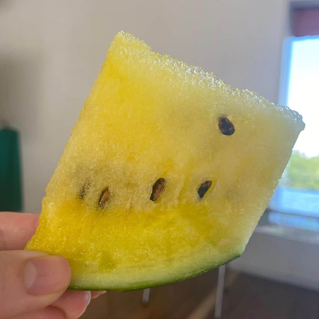 島津咲苗さんのインスタグラム写真 - (島津咲苗Instagram)「みんなで😊🍉 今日は偶然、竹田さんも濱田さんも私も #黒コーデ でした。 日傘は外が白、中が黒がベストだそうですね🤓 . . . #スイカ #スイカ好き #メーテレ #ドデスカ #アナウンサー #佐藤裕二 #竹田基起 #濱田隼 #島津咲苗 #朝食 #朝ごはん #フルーツ」7月28日 19時44分 - sanae_shimazu