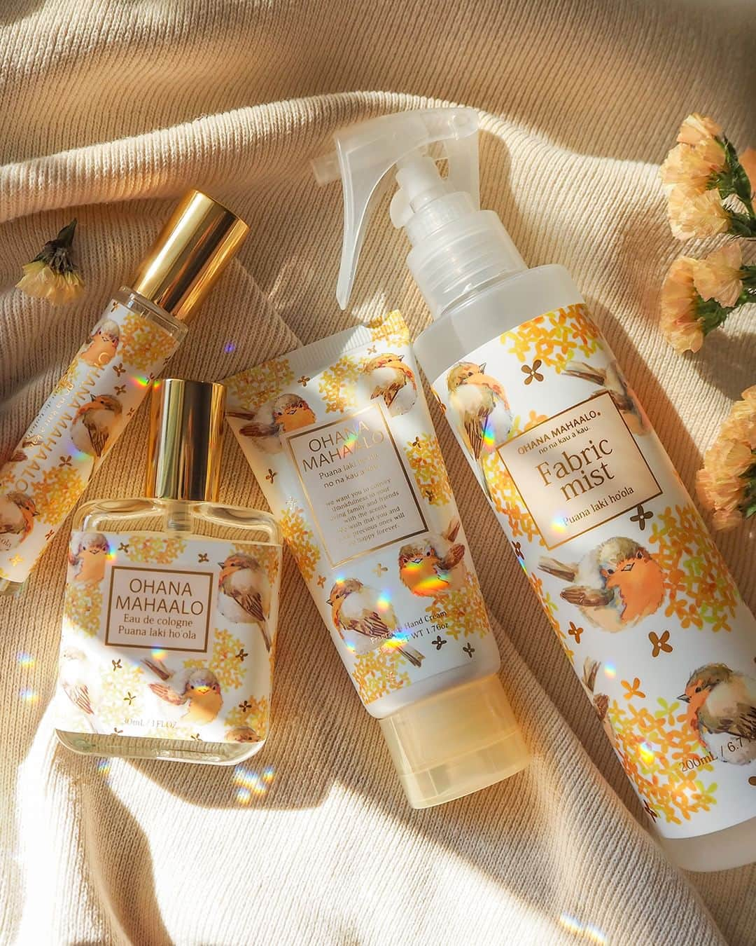 FRAGRANCYさんのインスタグラム写真 - (FRAGRANCYInstagram)「.  【新商品】 金木犀ꕤ銀木犀の香り  今年も オハナマハロ 含め 各ブランドから金木犀の香りが登場  今年は銀木犀の香りも限定発売致します🕊️  発売日 銀木犀▷8月上旬から順次 金木犀▷8月中旬から順次  まだまだ暑いですが、ぜひお楽しみに  *⑅︎୨୧┈︎┈︎┈︎┈︎┈︎┈︎┈︎┈︎┈︎┈︎┈︎┈︎┈︎┈︎┈︎┈︎┈︎┈︎┈︎୨୧⑅︎*  #fragrancy #japan #fragrance #newitem #新商品 #キンモクセイ #金木犀 #銀木犀 #ギンモクセイ #香りのある暮らし #香りのある生活」7月28日 19時50分 - fragrancy_online