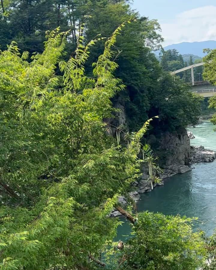 大矢真夕のインスタグラム：「先日人生3度目の長野県阿智村に行って来ました😊  日本一星空が綺麗と言われている所です😌✨  1度目はたまたま満月の日に行ってしまって、明る過ぎて星が見えず  2度目は体調の悪い父と行ったので旅館に篭りきりで  今回3度目の正直でようやく満天の星を観ることができたよ。。🥹  写真は携帯で撮ったのでほぼ写ってないけど😀  温泉に入ったり、夜に月明かりしかない中吊り橋を渡ったり、川下りをしたり星を観にロープウェイで山頂に行ったりキャンプをしたりしました😊」