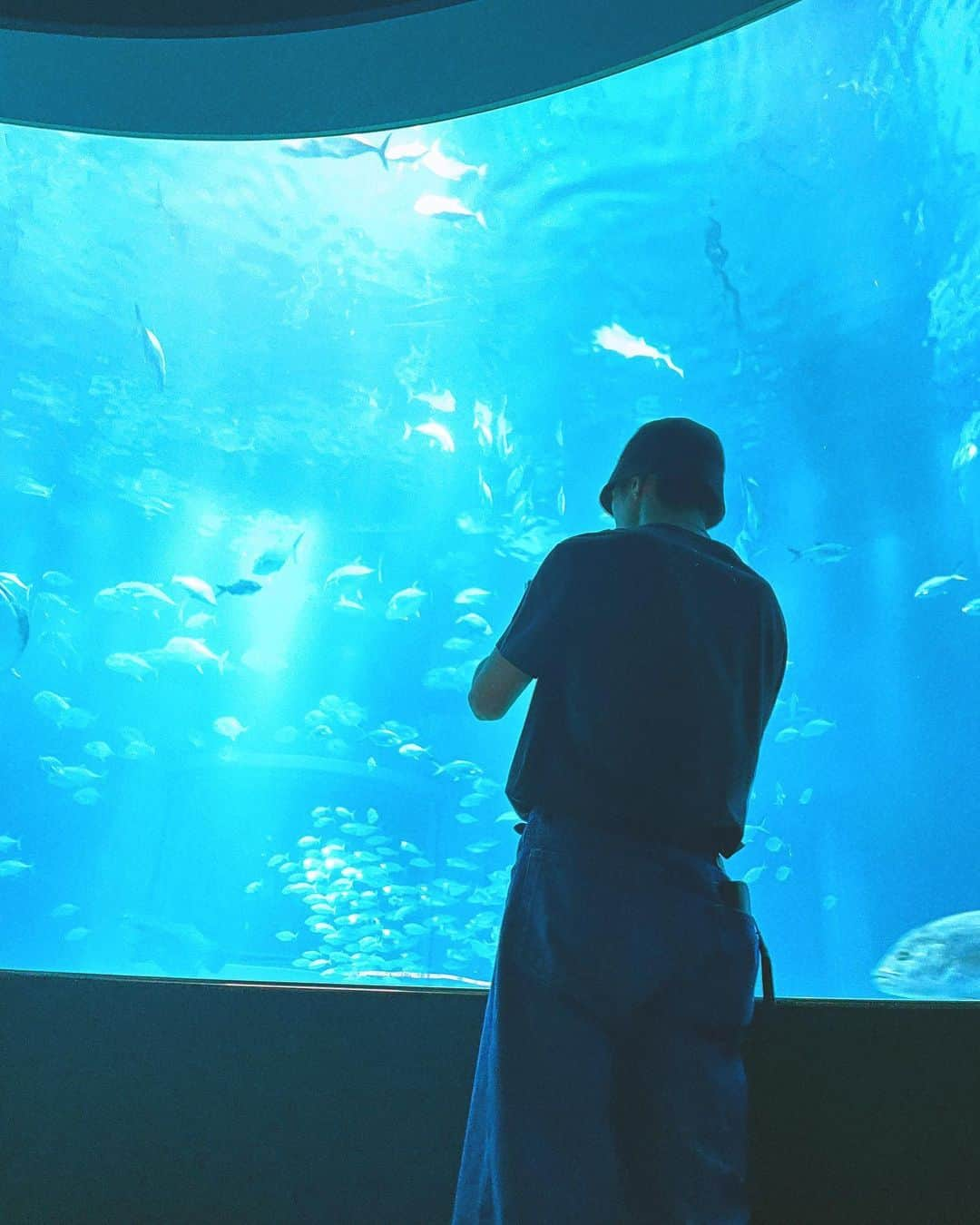 藤原樹さんのインスタグラム写真 - (藤原樹Instagram)「・ オフ満喫🐠  #海遊館」7月28日 20時19分 - itsuki_fujiwara_official