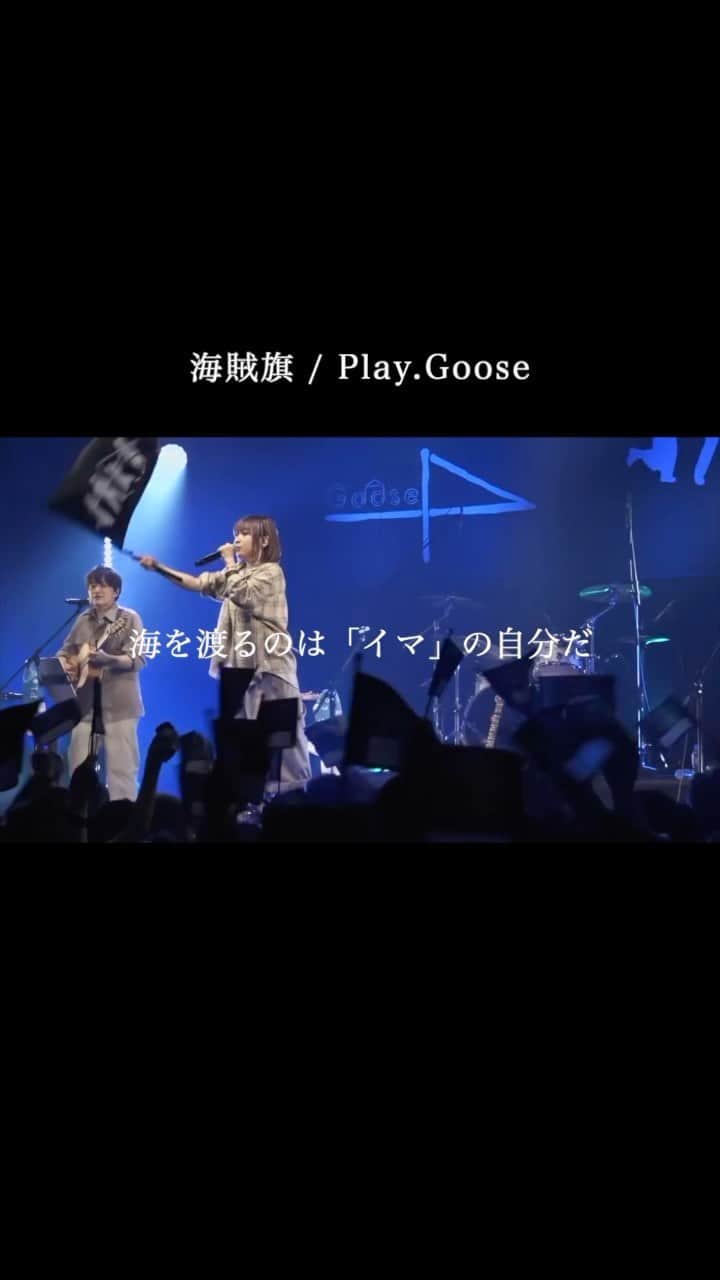 Play.Gooseのインスタグラム：「海賊旗 / Play.Goose https://youtube.com/shorts/N-LRmkkVxjA?feature=share  全国7都市を回るツアー7/30札幌からSTART！ #PlayGoose #acoustic #live  #shorts #cover #PlayGoose #instamusic #cover #acoustic #goosehouse #goose #goose7 #song #music #sing #voice #piano #ピアノ #guitar #ギター  【全日程】 7/30(日) @ PLANT（北海道） 8/5(土) @ BEAT STATION（福岡） 8/11(金・祝) @ ElectricLadyLand（名古屋） 8/12(土) @ umeda TRAD（大阪） 8/20(日) @ LIVE HOUSE enn 2nd （仙台） 8/27(日) @ CAVE-BE（広島） 9/7(木) @ LIQUIDROOM（東京）  【チケット情報】 「Play.Goose “Live” Tour 2023 Evolutions storys」 本公演 ▶️https://t.livepocket.jp/t/pg2023_tour  アコースティックミニライブ「Little acoustic」 昼公演 ▶️https://t.livepocket.jp/t/pg2023_la  チケットのご購入はHPにて！  #PlayGoose」