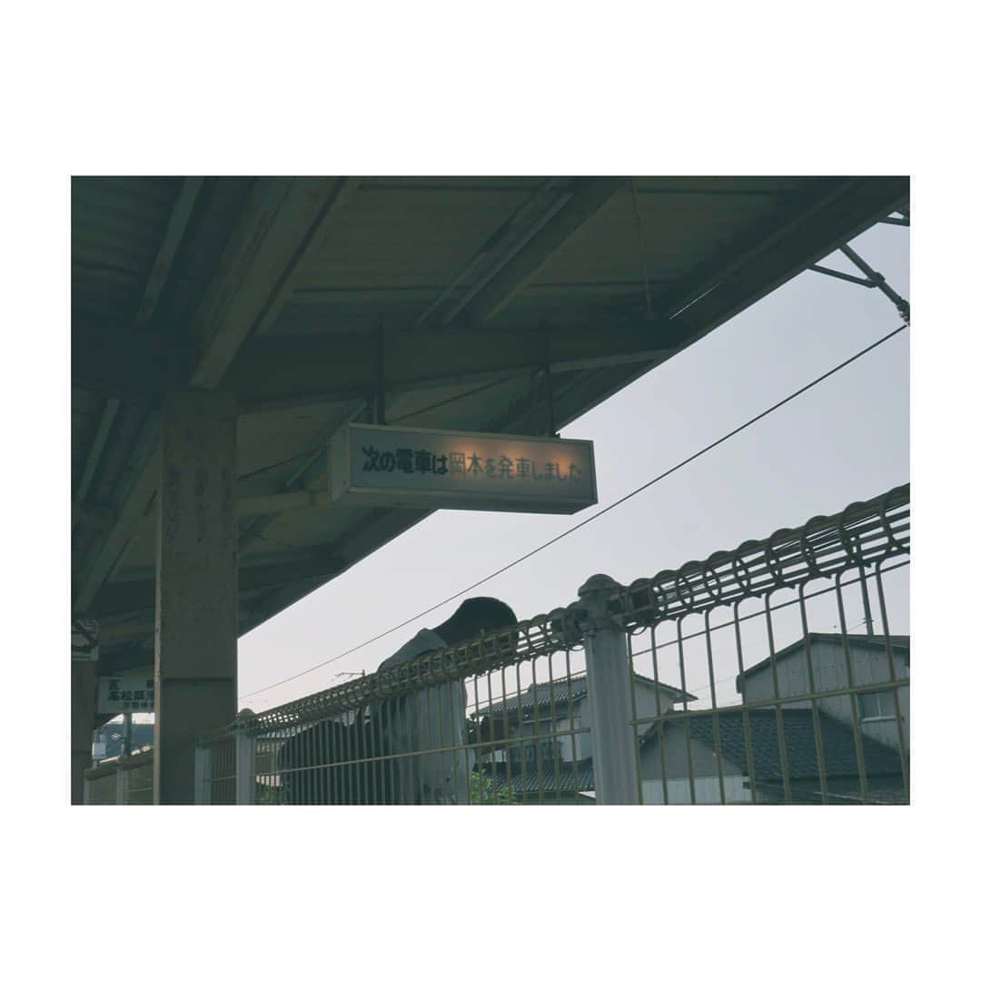 あゆかのインスタグラム：「愛媛県(香川県)一人旅𓂻𓂃𓂃  Day.4 route  ……𓁇...…𓁇...…  ◎香川県～愛媛県  〇うどん職人 さぬき麺之介  ✍︎土日は早い時間から営業しているとのことで朝ごはんに伺いました◥█̆̈◤∥ 目の前をとこでんが走っていて、電車の音を聞きつつ夏休みにおばあちゃんの家に遊びに来たような感覚になれるお店。ツルツルしこしこのおうどんの弾力も好きすぎる。次回も絶対にまた来たいお店𓃈  営業時間 9:00-16:00 17:00-2:00 土日 8:00-16:0  香川県高松市瓦町１丁目７−３ ↓ 〇圓明寺  ✍︎愛媛灯籠など歴史的にも名高い圓明寺さんへ。天井絵が見たくて伺いました𓁇... 四国最古の納札が発見された小さな寺院。キリシタン灯籠と躍動感あふれる龍の彫り物は必見です𓆰 𓆡 𓇢  営業時間 7:00-17:00  愛媛県松山市和気町１丁目１８２ ↓ 〇茜家  ✍︎松山市内に戻ると夜市やお祭りの日が重なって浴衣など華やかな雰囲気 𓀤𓀥 旅の締めはいつも赤提灯で地元の方のお話を聞くと決めているので、酒呑みの嗅覚を頼りに飛び込んだ茜家さん。 美しい方が呑んでいるなと思ったら、お世話になっている美stさんで美魔女グランプリの木曽千草(@chigusa.kiso )さんでした🥰 愛媛の桜から抽出された酵母から作られた"さくらひめ"という日本酒の大使もされています。(空港ですぐ買いました。笑) 素敵な出逢いと、美女と美味しい日本酒、季節のお刺身に楽しいお話。言うことなしです。  営業時間 11:30-14:00 18:00-22:30  愛媛県松山市二番町３丁目８−８−２  (4/4 days.)  #一人旅 #一人旅女子 #japaneseculture #japan #香川旅行 #高松旅行 #高松グルメ #愛媛旅行🍊  #円明寺御朱印 #さぬき麺之介  #松山日本酒の呑める店  #trip」