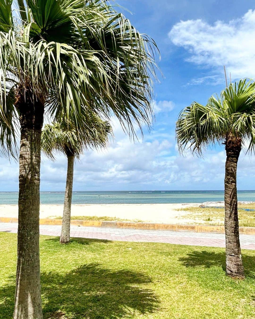 MIMIのインスタグラム：「🌴🌴🌴」