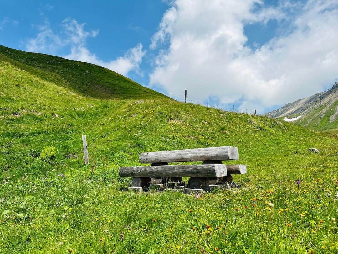中谷美紀さんのインスタグラム写真 - (中谷美紀Instagram)「いつもあたたかいお言葉をいただき、誠にありがとうございます。  オーストリアより暑中お見舞い申し上げます。  ちなみに写真は、フィルハーモニクス のコンサートツアーにて東チロル地方へ向かう道すがら通ったグロース・グロックナーアルプス山岳道路です。  #オーストリア #グロースグロックナー  #グロースグロックナーアルプス山岳道路  #森林限界 #ヨーロッパアルプス #オーストリアアルプス #車旅 #中谷美紀 #austria #großglockner  #großglocknerhochalpenstraße  #europeanalps  #austrianalps  #cartrip #forestlimit  #mikinakatani」7月28日 21時21分 - mikinakatanioffiziell