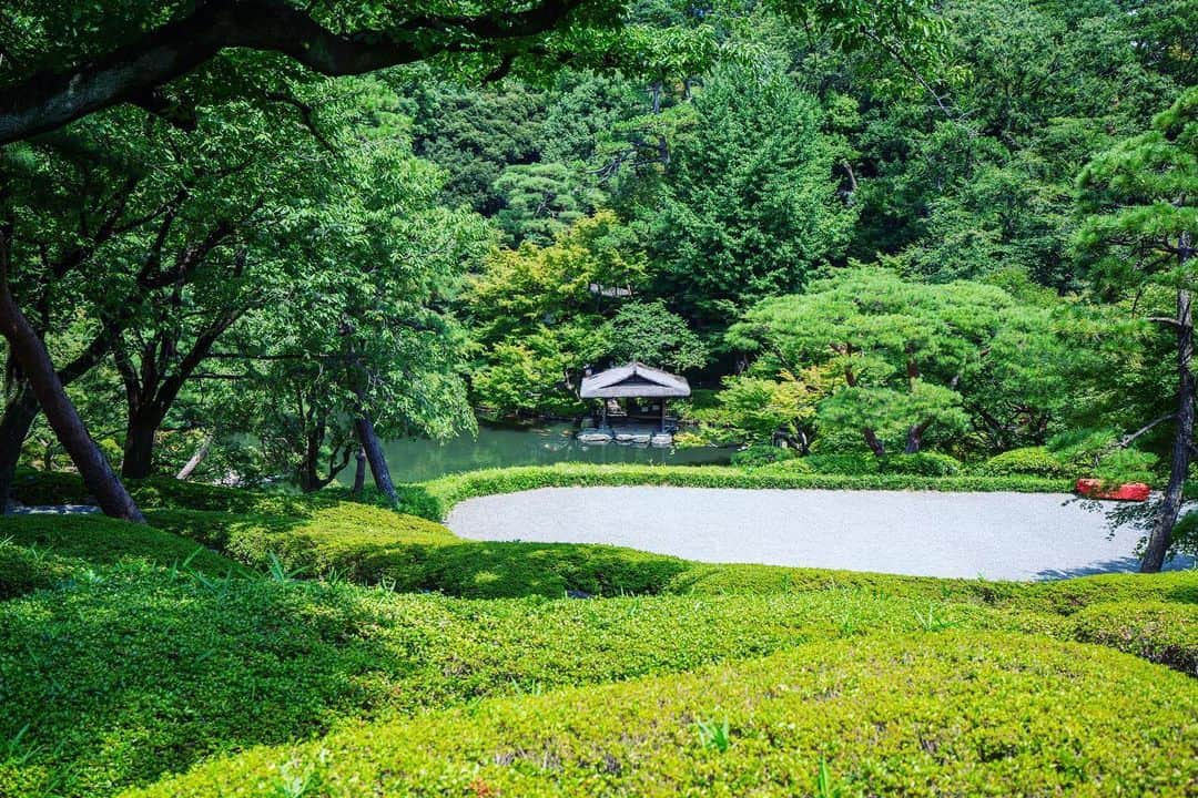 八芳園さんのインスタグラム写真 - (八芳園Instagram)「二十四節気では一年で最も暑さの厳しい #大暑 の頃。  日本庭園にも強い陽射しが降り注ぎます。  夏の庭園は生命力に満ち溢れ 力強く葉を付けた木々の緑に覆われます。  猛暑が続く今日この頃。  庭園散策の際には涼しい時間帯にお越しいただき、熱中症に十分お気をつけて、こまめな水分補給を行ってください🎐」7月28日 21時35分 - happoen