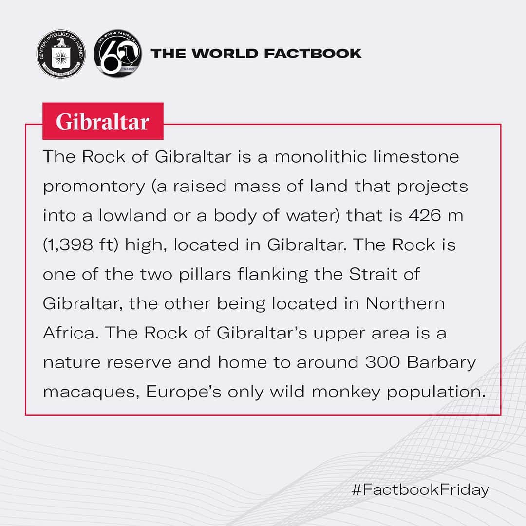 CIAさんのインスタグラム写真 - (CIAInstagram)「This week Factbook Friday is sharing some solid facts. #DYK the Rock of Gibraltar has a nature reserve that is home to Europe's only wild monkey population, and its limestone promontory is 426 m (1,398 ft.) high?  #FactbookFriday #Gibraltar」7月28日 22時42分 - cia