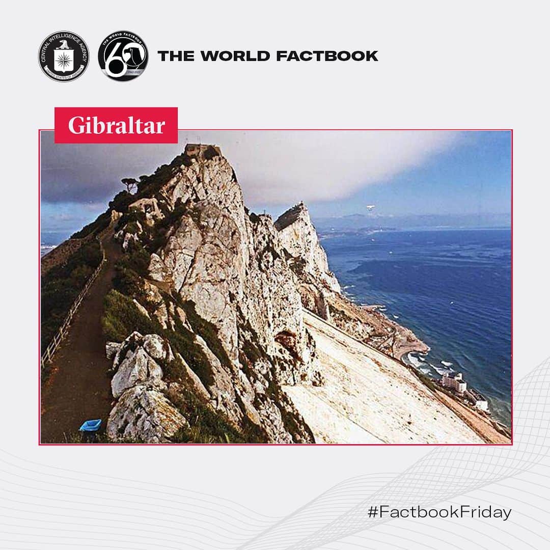 CIAのインスタグラム：「This week Factbook Friday is sharing some solid facts. #DYK the Rock of Gibraltar has a nature reserve that is home to Europe's only wild monkey population, and its limestone promontory is 426 m (1,398 ft.) high?  #FactbookFriday #Gibraltar」