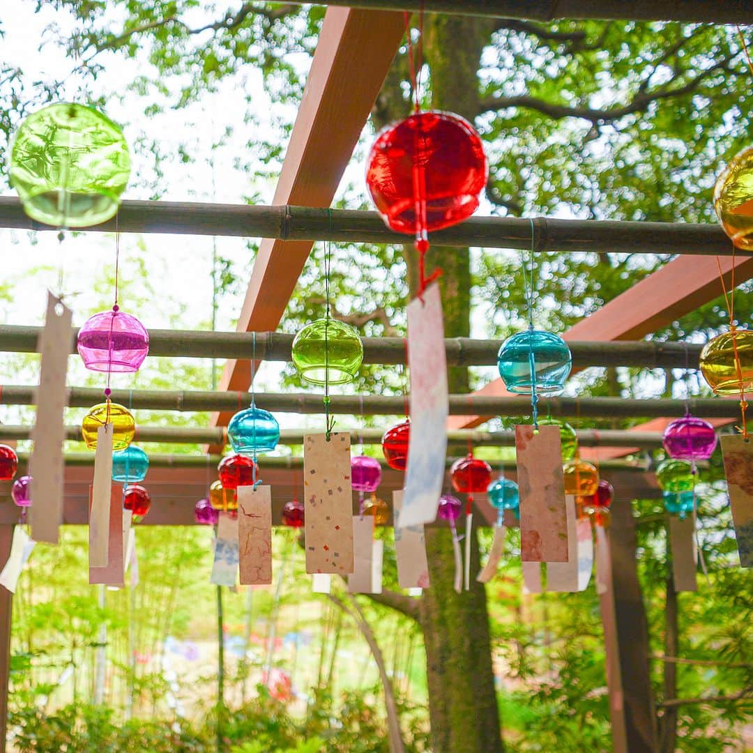 星野リゾート 界の若者旅さんのインスタグラム写真 - (星野リゾート 界の若者旅Instagram)「界 玉造では、短冊に島根県の伝統工芸である出雲民藝紙を使用した風鈴を飾っています。 柔らかな風合いの手漉き和紙を眺めながら、涼やかな音色に心癒されるひとときを過ごしてみませんか。  KAI Tamatsukuri decorates tanzaku with wind chimes made from Shimane prefecture's Izumo-Mingei paper.  Why not relax with the cool sound while gazing at handmade Japanese paper with a soft texture?  #星野リゾート #界 #界玉造 #島根 #出雲 #玉造温泉 #温泉 #温泉旅館 #温泉旅行 #風鈴 #ふうりん #ご当地風鈴オーケストラ #風鈴オーケストラ #出雲民藝紙 #和紙 #安部榮四郎 #hoshinoresorts #kai #kaitamatsukuri #Japantravel #hotsprings #onsen #ryokan #shimane #izumo #summer #windchimes」7月29日 11時55分 - hoshinoresorts.kai