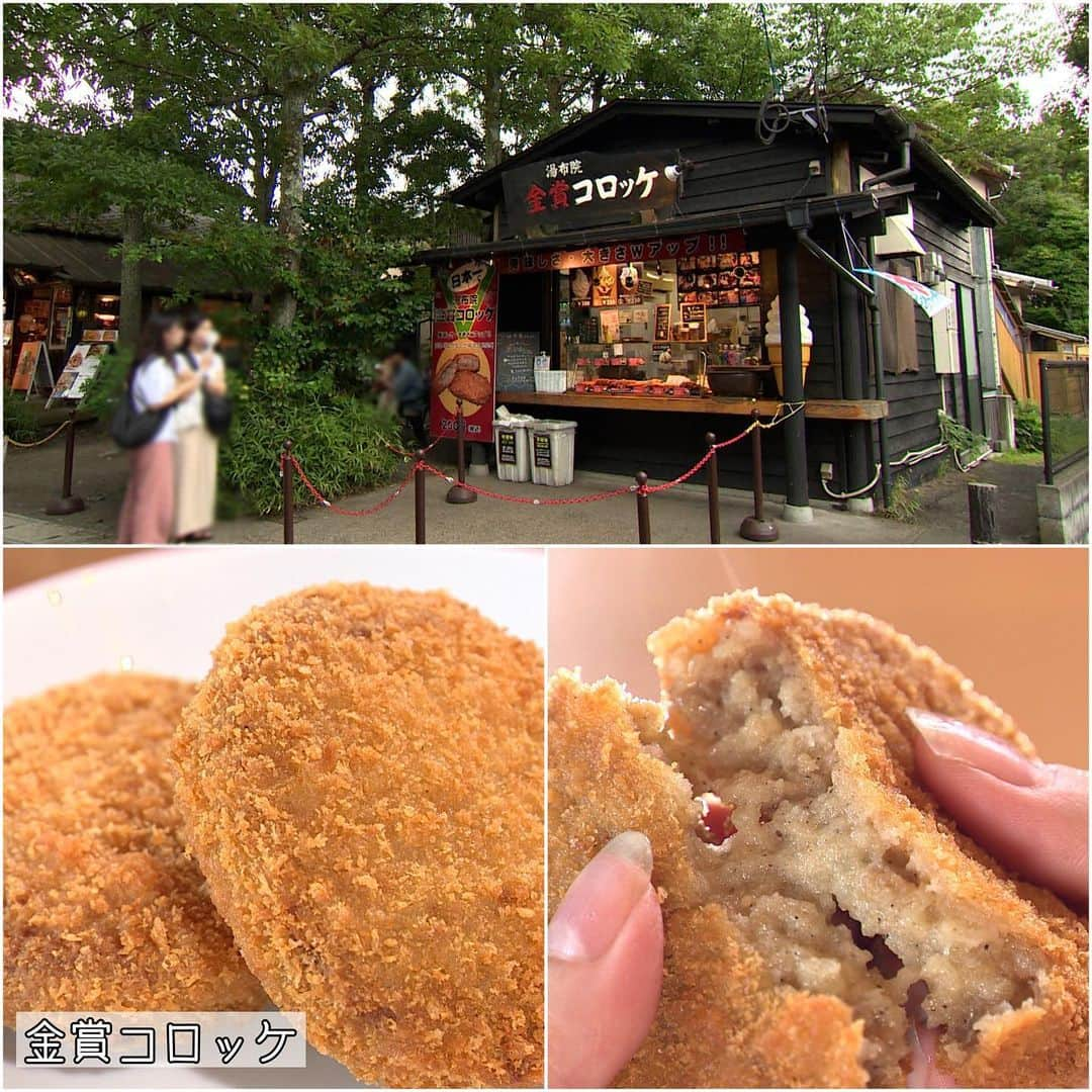 TBS「王様のブランチ」さんのインスタグラム写真 - (TBS「王様のブランチ」Instagram)「【日本一のおんせん県・大分癒され女子旅♨️】 . #塚原温泉  #湯の坪街道 店名： #金賞コロッケ #金賞コロッケ 200円 店名： #鞠智 #かぼすコンフィチュール 890円 #かぼすモンブランどら焼き 1,290円 #琥珀糖 730円  #竹瓦温泉  #別府温泉杉乃井ホテル  店名： #民芸茶屋味蔵 #とり天定食 880円 #とり炭焼 1,200円  今週放送の週末トラベルは 本日夜からTVer配信予定！お楽しみに✍️  #黒木ひかり #大島璃乃 #大分 #温泉 #癒し #女子旅 #王様のブランチ #週末トラベル」7月29日 10時47分 - brunch_tbs