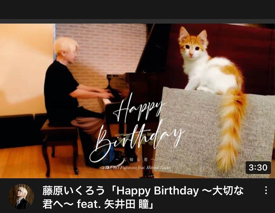 谷本貴義のインスタグラム：「藤原いくろうさん　Single 「Happy Birthday 〜大切な君へ〜 feat. 矢井田 瞳」 https://youtu.be/ynmIU-wemeA  MVにうちのニャー、ポピーが出演しています♪ 7/28より各配信サイトで配信されてます♪ いくろうさんは8/5赤坂ロマンに出演予定♪  #藤原いくろう #矢井田瞳 #日本動物愛護協会 #ネコ部」