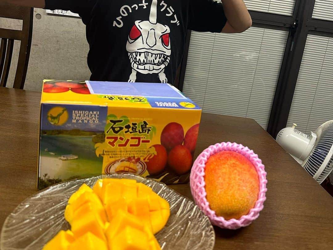 岡本安代さんのインスタグラム写真 - (岡本安代Instagram)「【マンゴー最高！】 石垣島から美味しいマンゴーが届きました〜！ 甘くて香りも良くて、一瞬にしてお口の中に幸せが広がります！ 嬉しい過ぎる〜！ 美味し過ぎる〜！ ありがた過ぎる〜！  講演会でお世話になっている広島日野自動車さん。 いつも過分なまでにお心遣い頂き、感謝の気持ちでいっぱいです！ 嬉し過ぎて、長男タイ兄貴、いつもマンゴー頂く時は、ひのっ子シャツに着替えるの巻！  上野会長！いつもありがとうございます！ またお会いできる日を楽しみにしております！ パワーアップして広島に参上致します！！  #広島日野自動車 #上野会長 #ありがとうございます  #マンゴー  #走り続ける岡本家 #５人の子育てママウンサー  #岡本安代 #講演会のご依頼はHPまで」7月29日 11時38分 - okamoto.yasuyo