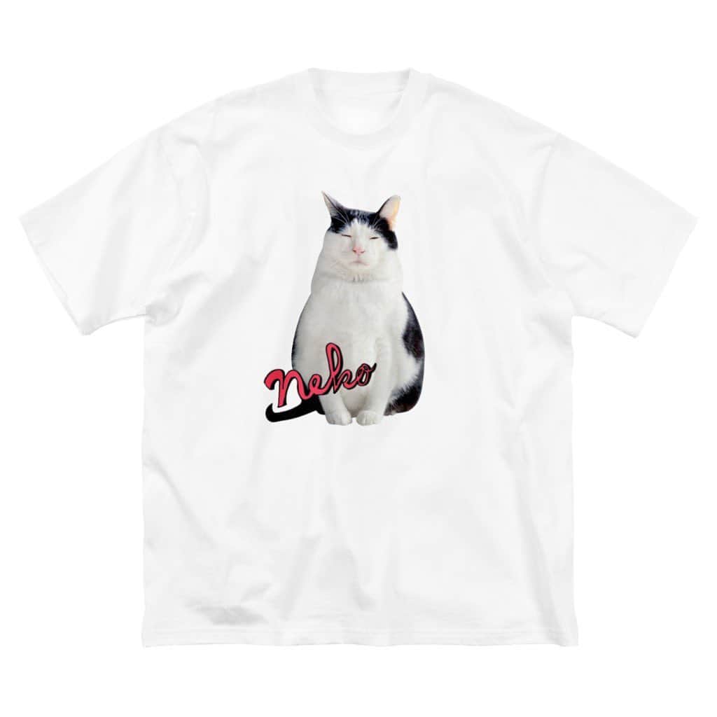 のインスタグラム：「29日12時から、SUZURIにてTシャツがセールになるみたいなので、パンガバグッズ作ってみました。パンチョとガバチョで検索してみてください。よろしくお願い致します。  #パンチョとガバチョ」