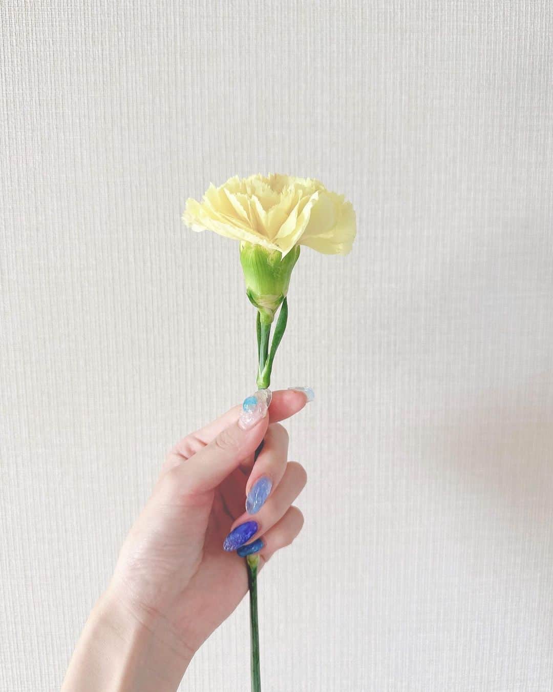 休井美郷さんのインスタグラム写真 - (休井美郷Instagram)「💛🍋🌼  黄色のカーネーションの花言葉は「友情」と「美」  きょうは大好きなお友達のお誕生日会するんだ♡ @sayaka__shimizu」7月29日 12時06分 - kyuui_misato