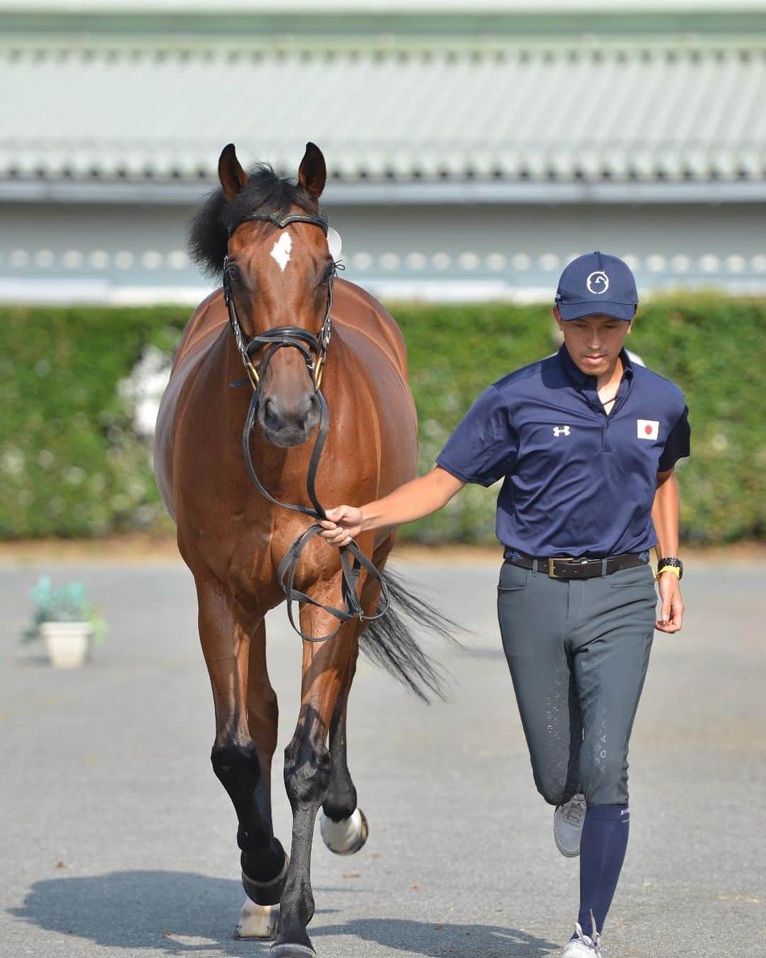 林伸伍のインスタグラム：「VET  check✅ 2017年ぶりにバリシュニコフと内国産選手権に出場します 出番は14時38分 応援よろしくお願いします💪」