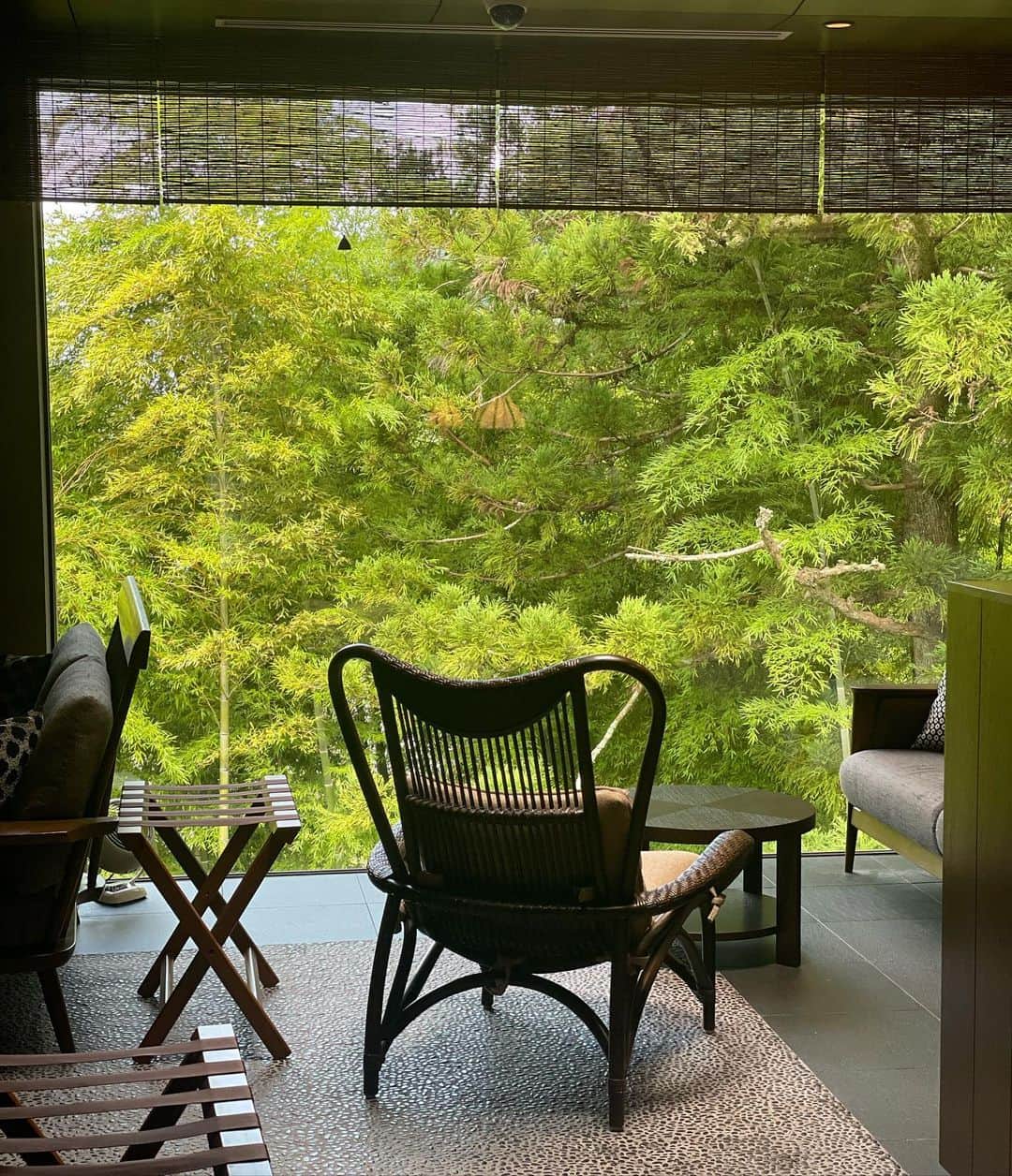 木下ココさんのインスタグラム写真 - (木下ココInstagram)「お仕事で箱根へ⛰🌲🌲🌲 ・ 都内からすぐなのにこんなに緑🟢 ・ お宿では、額に納められるように美しく切り取られた日本風景が出迎えてくれた🌳✨✨ ・ 暑さを忘れるような素敵な演出に癒され、次回はゆっくり過ごしたいなと心の中で見えない約束を🤞🍀 ・ 屋外で始まった蝉の大合唱は、 唯一都内でも視聴可能🎧 ・ 音量は調節不可だけど、 否が応でも100%夏ですね☀️ ・ ・ ・ ・ #weekend #summer #hakone  #beautifulview  #japanese #ootd  #fashion #outfitoftheday  #夏服 #大人カジュアル #木下ココ」7月29日 10時22分 - cocot_chan