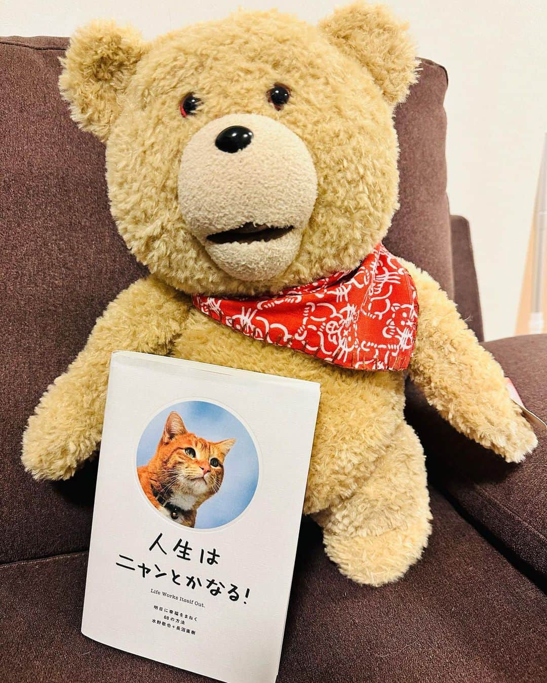 中嶋ユキノのインスタグラム：「テッドくんとの最後の夜。  🐻🥹🐻  「人生はニャンとかなる！」だそうです。  今週のはなしは、またブログ書きまする😉🖋️  #テッド #ted #🐻 #くま #スコットさん待っててね  #中嶋ユキノ  #シンガーソングライター #nakajimayukino #singersongwriter #作詞作曲 #おすすめ #おすすめ曲 #songwriter #songwriting  #singer #singing #singerlife  #japan #作詞 #作曲  #applemusic #linemusic #spotify #youtube #ove #music」