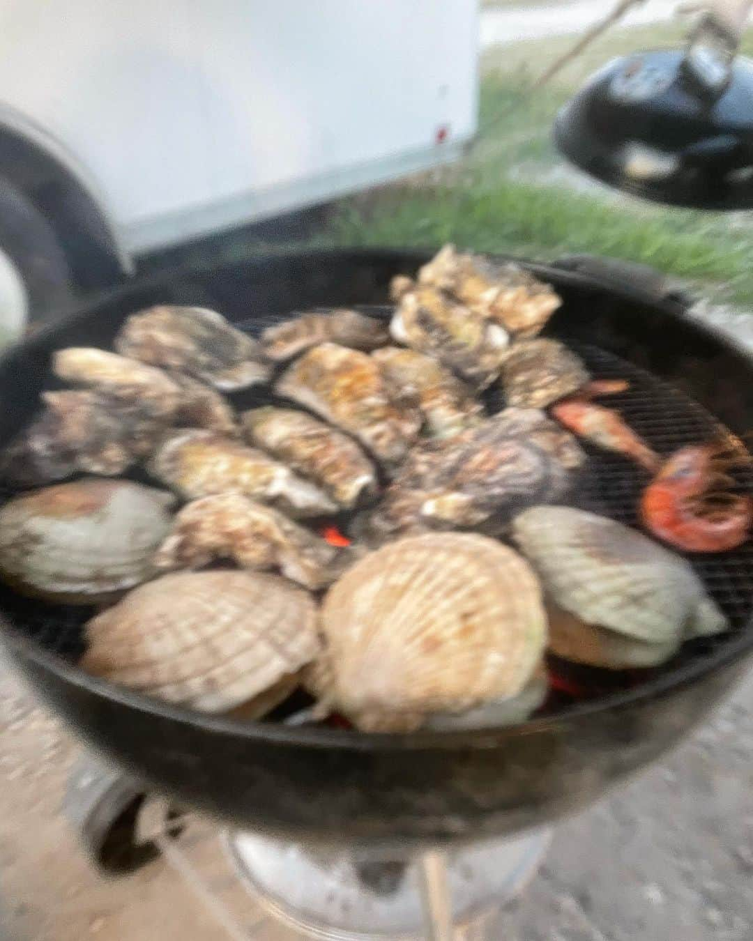 小澤美里さんのインスタグラム写真 - (小澤美里Instagram)「夜bbq🌉🩷  食材うまく撮りたいのだが外カメラ壊れて起動させるとブルブルなるから毎回こうしてブレてしまう🎞️  9月になったら絶対新型へ📱」7月29日 12時15分 - misatooozamisa