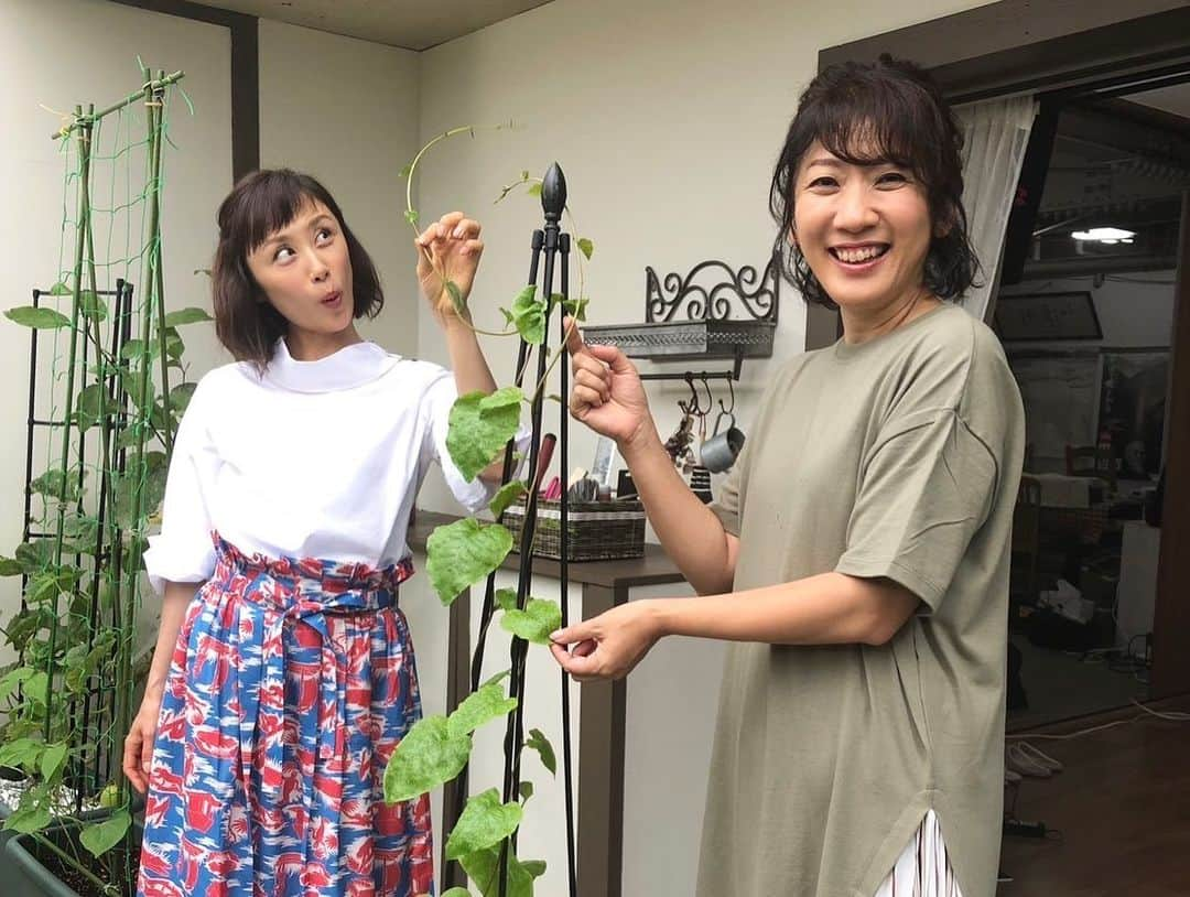 山口もえさんのインスタグラム写真 - (山口もえInstagram)「・  次回の「やさいの時間」は #深町貴子 さんとケールを育てます🌱 晩秋には大きく育ち 春先まで収穫できるんだって👏 私はふざけた顔をしてますが けっしてふざけている訳では ございません。笑 楽しんでいるのです♡♡♡ むふふっ  7/30(日) 8:00～8:25 NHK-E「趣味の園芸 やさいの時間」 アンコール放送  7/31(月) 11:05〜11:30 NHK総合「趣味の園芸 やさいの時間」 アンコール放送  8/1(火) 13:05〜13:30 NHK-E「趣味の園芸 やさいの時間」 アンコール放送  お楽しみに💜💛💚🩵  #nhk  #やさいの時間  #放送  #15周年  #おめでとうごさいます  #❤️  #家庭菜園  #プランター菜園  #ケール #野菜  #楽しすぎると #人間は変な顔をしたくなるのは #私だけ?! #笑」7月29日 13時21分 - moe_yamaguchi0611