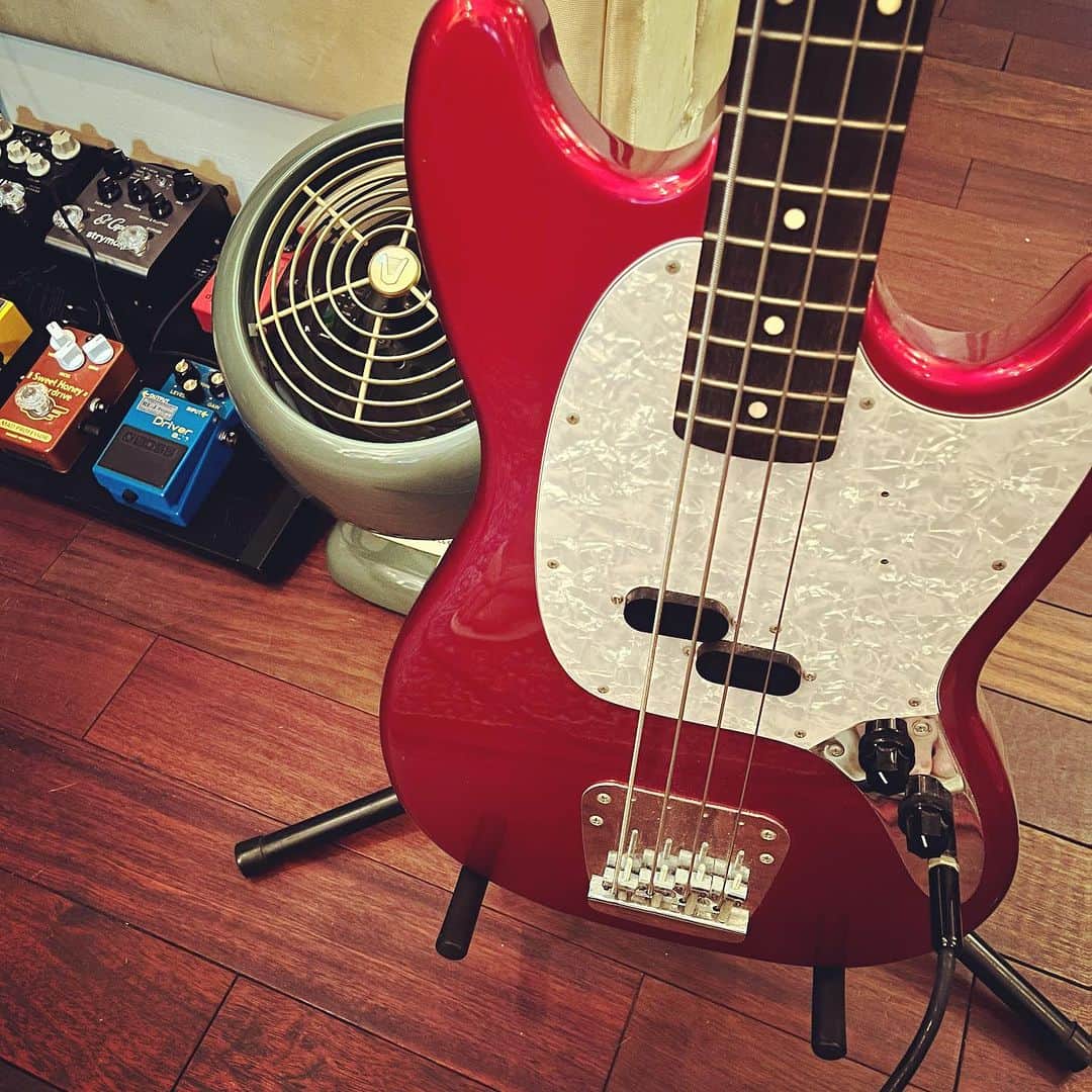 浅田信一のインスタグラム：「本日もDemo Rec🎸  #mustangbass #fendermustangbass」