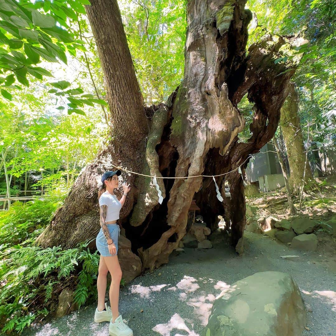 南まりあのインスタグラム：「まさにマイナスイオンという言葉が似合う🌳 神社の中ってなんか心地いい涼しさだから好き🫶🏻 ・ #ダイエット#ボディメイク#トレーニング#トレーニング女子#減量#筋トレ#筋トレ女子#サマスタ」