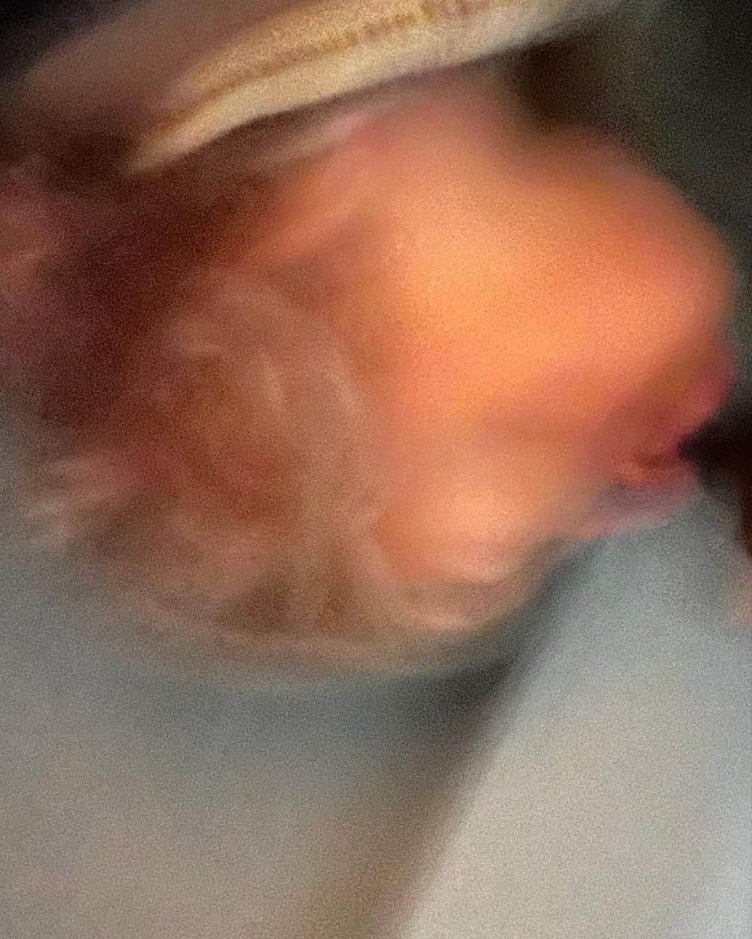 ビジー・フィリップスさんのインスタグラム写真 - (ビジー・フィリップスInstagram)「honestly all i ever need is a view.」7月29日 14時08分 - busyphilipps