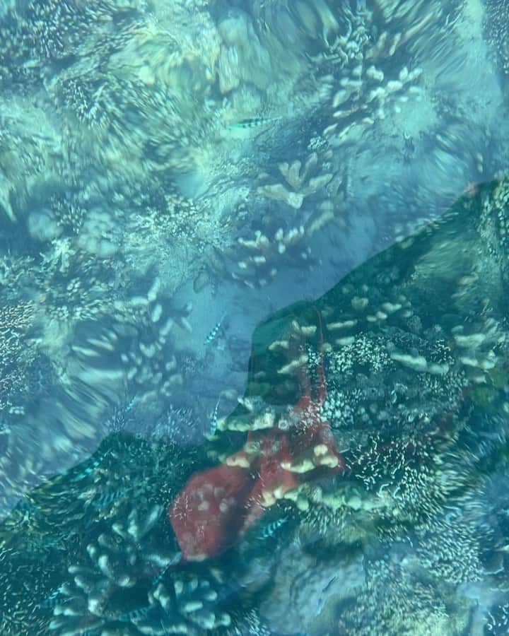 ガユンのインスタグラム：「🪼🐢🐠」