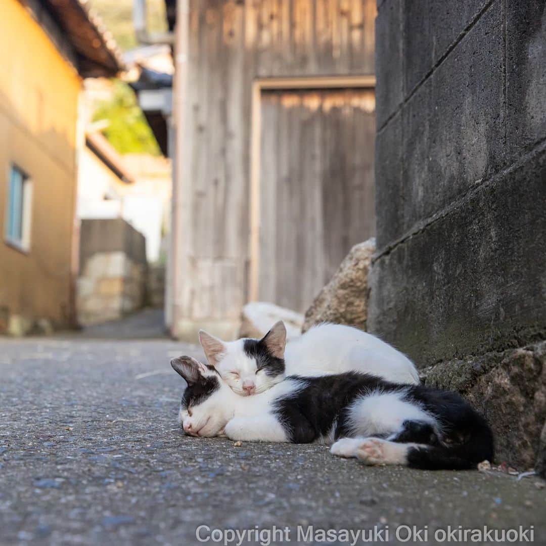 Masayukiのインスタグラム