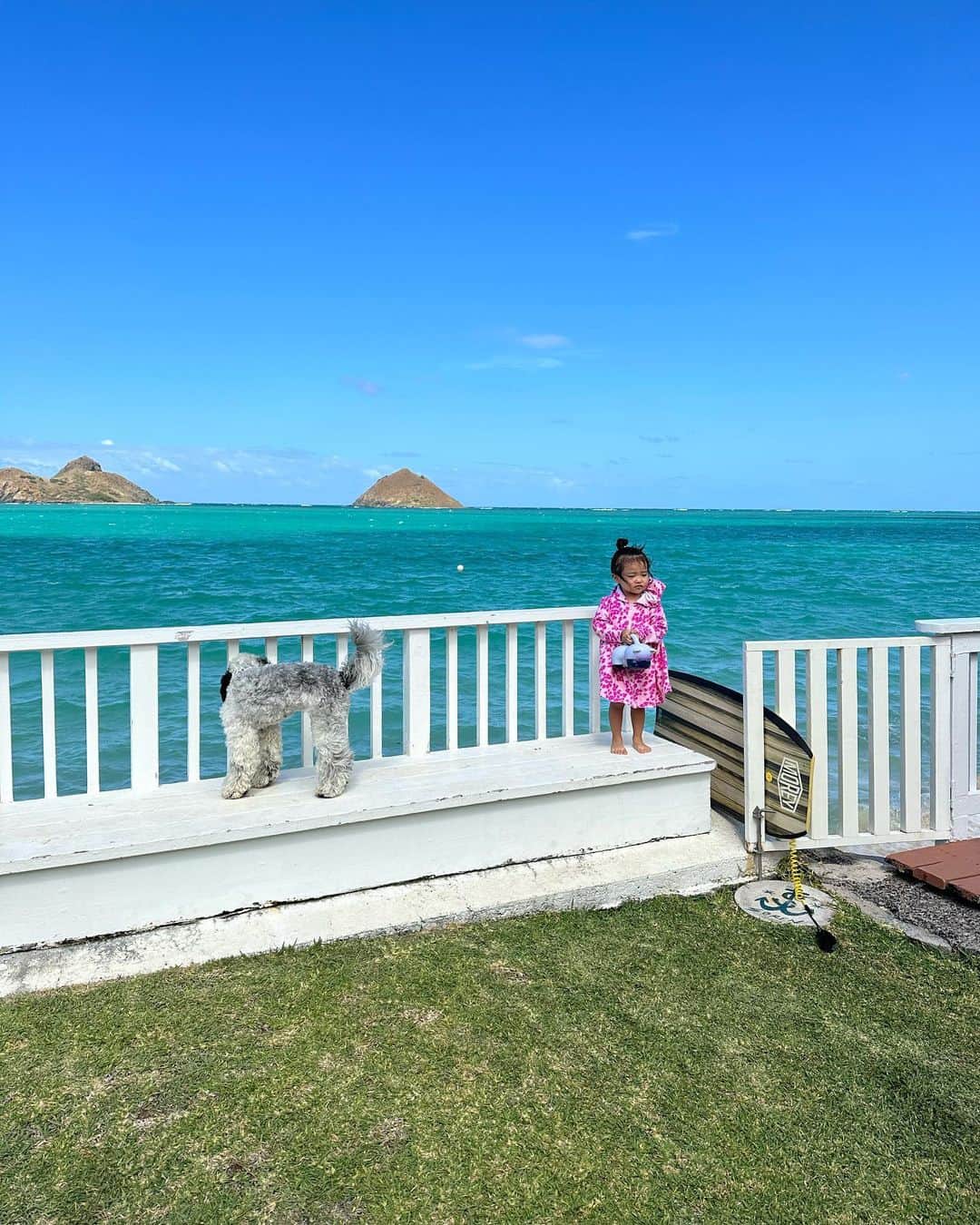 福王寺彩野さんのインスタグラム写真 - (福王寺彩野Instagram)「最高の景色だったね🫶🩵💙 色々嫌なこともあったけど、ハワイに来ると全部浄化される🥹✨✨✨ たぶん大きな理由はインスタをほとんど見なくなるから🤣w 今朝はサーフィンも出来たし🏄‍♀️、スッキリ‼️ #hawaii #oceanview #oceanfront #beachhouse #lanikaibeach #mydaughter #ハワイ #娘 #チビノ #2歳8ヶ月」7月29日 17時09分 - ayano_fukuoji