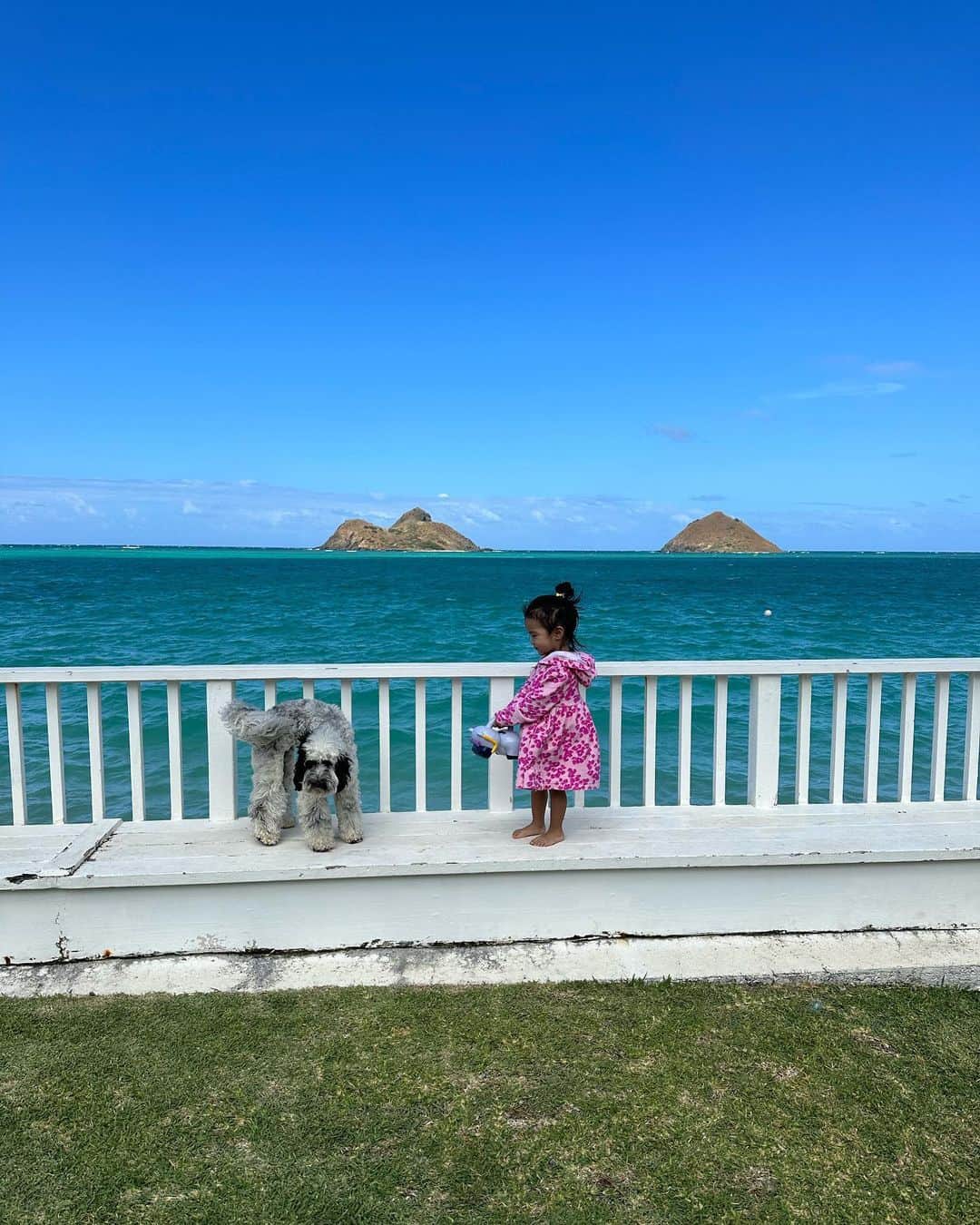 福王寺彩野さんのインスタグラム写真 - (福王寺彩野Instagram)「最高の景色だったね🫶🩵💙 色々嫌なこともあったけど、ハワイに来ると全部浄化される🥹✨✨✨ たぶん大きな理由はインスタをほとんど見なくなるから🤣w 今朝はサーフィンも出来たし🏄‍♀️、スッキリ‼️ #hawaii #oceanview #oceanfront #beachhouse #lanikaibeach #mydaughter #ハワイ #娘 #チビノ #2歳8ヶ月」7月29日 17時09分 - ayano_fukuoji