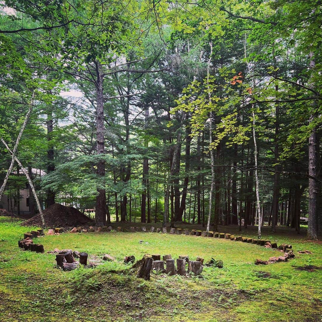 高橋リタさんのインスタグラム写真 - (高橋リタInstagram)「先日、久しぶりに軽井沢へ行ったので母校のキャンプ場も訪問。懐かしいチャペルへの渡り廊下やキャンプファイヤー用の丸太の椅子など、小さい頃の記憶そのままの景色が残っていました。今はもう使用されていないみたいだけど、ずっと残しておいて欲しいなー。」7月29日 17時12分 - jojopon