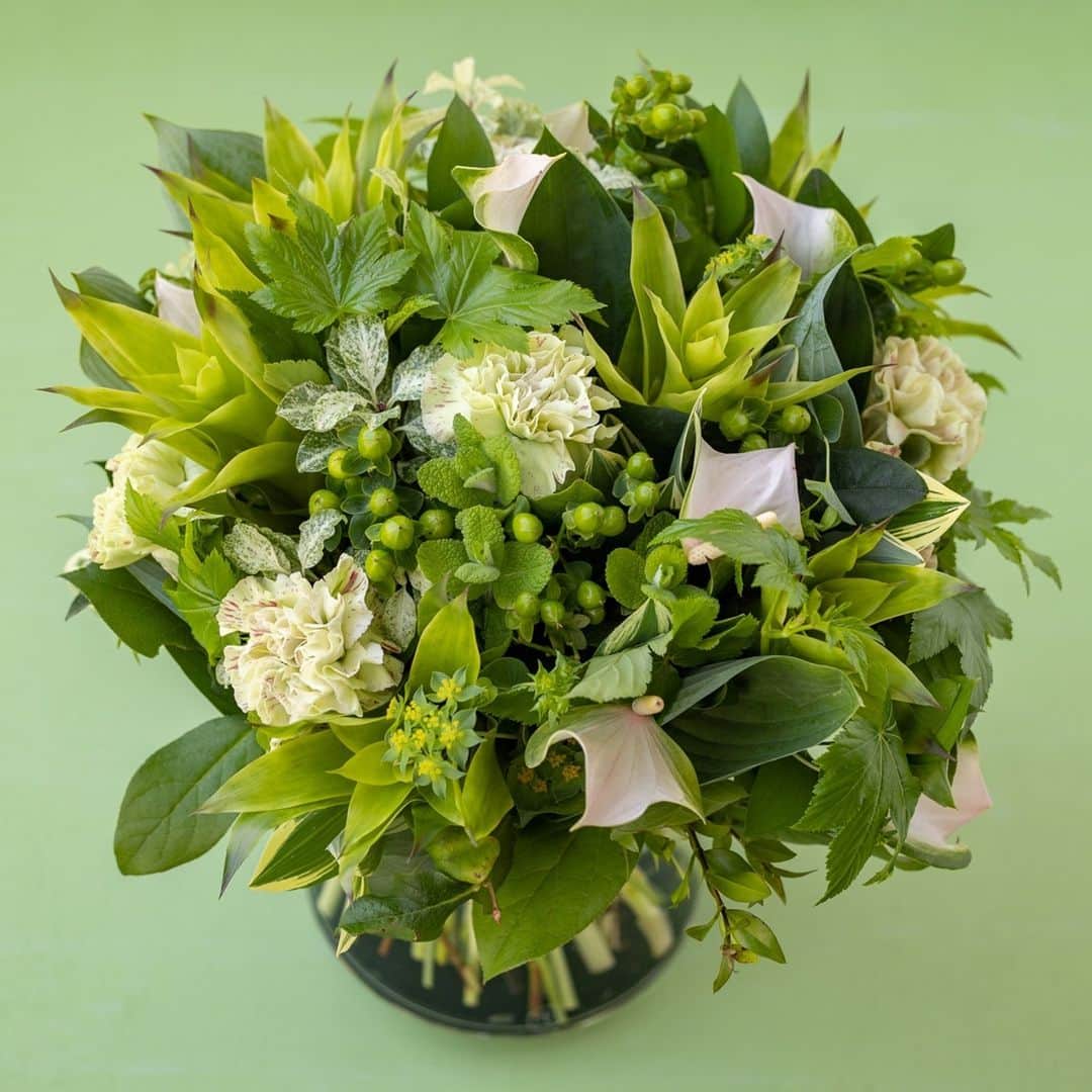 ニコライ・バーグマン・フラワーズ＆デザインのインスタグラム：「💚 🌿⁠ Refreshing note with leafy greens and mint ⁠ .⁠ .⁠ .⁠ .⁠ .⁠ #nicolaibergmann #flowerdesign #ニコライバーグマン #フラワーデザイン #니콜라이버그만 #꽃다발 #букетцветов #ramosdeflores #blumenstrauß」