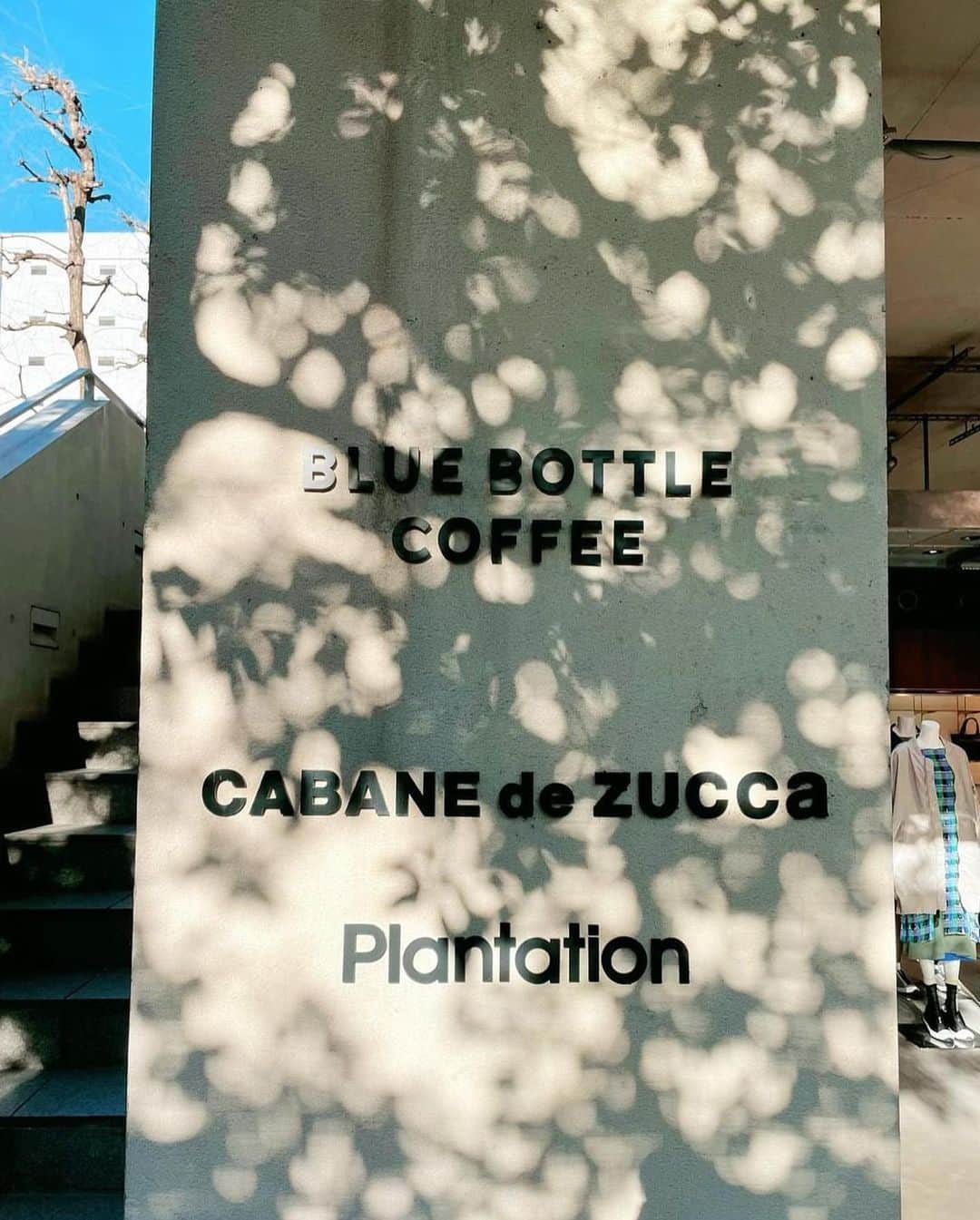 西出薫さんのインスタグラム写真 - (西出薫Instagram)「🩵🩵🩵  #bluebottlecoffee #青山カフェ #表参道カフェ #カフェ巡り東京 #カフェ好き」7月29日 18時03分 - kaoru_nishide