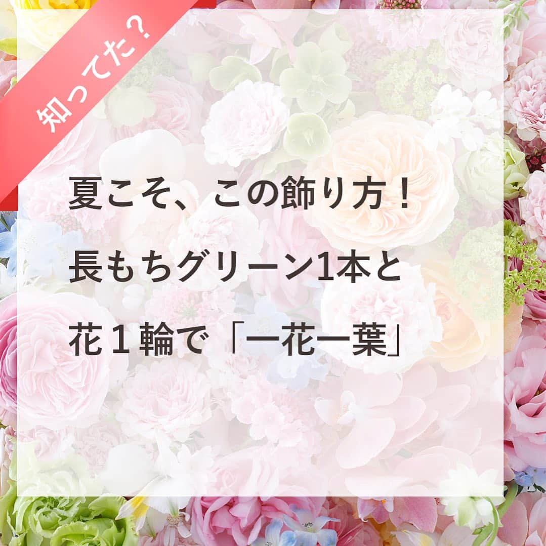 雑誌『花時間』さんのインスタグラム写真 - (雑誌『花時間』Instagram)「こう暑いと、花を飾ることに躊躇しそう？  花時間（@hanajikan_magazine）です。  花1本、葉1本でも素敵に飾れるんです。  花時間では、この方法を「一花一葉（いっかいちよう）」と呼んで、夏の花あしらいの定番にしています。  花が弱りやすい季節だし、長もちするグリーンを選んでみませんか？  今回チョイスしたアンスリウムもニューサイランもハランも、みんな長もち優等生💯  水に浸けても傷まないので、水中に入れて飾っても楽しめるんです。  あとは、長もちグリーンに合わせる花を取っ替え引っ替え。  合わせる花は1本でも、からりと印象が変わって楽しいんです。  花は心のビタミン。猛暑でお疲れ気味のときにこそ、必要ですね！  では、明日も元気smile😊😊😊で素敵な週末をお過ごしください。 byピーターパン  【花時間ニュース】 💜『花時間』から、花の定期便がスタートしました🥰　世界でここだけのバラと旬花が届く嬉しいサービスです💕  💜『花時間2023春夏』〈春のピンク！夏のブルー！〉大好評発売中！  💜『花と短歌でめぐる 二十四節気 花のこよみ』大好評発売中  すべて @hanajikan_magazine のプロフィールのリンクから飛べます✈️  『花時間』本誌や書籍は全国の書店、ネット書店でも発売中✨  #花時間 #フラワーアレンジ #花が好き #花の飾り方  #涼しげに #花が好きな人と繋がりたい #花を飾る #花を飾る生活 #花屋さんへ行こう」7月29日 18時23分 - hanajikan_magazine