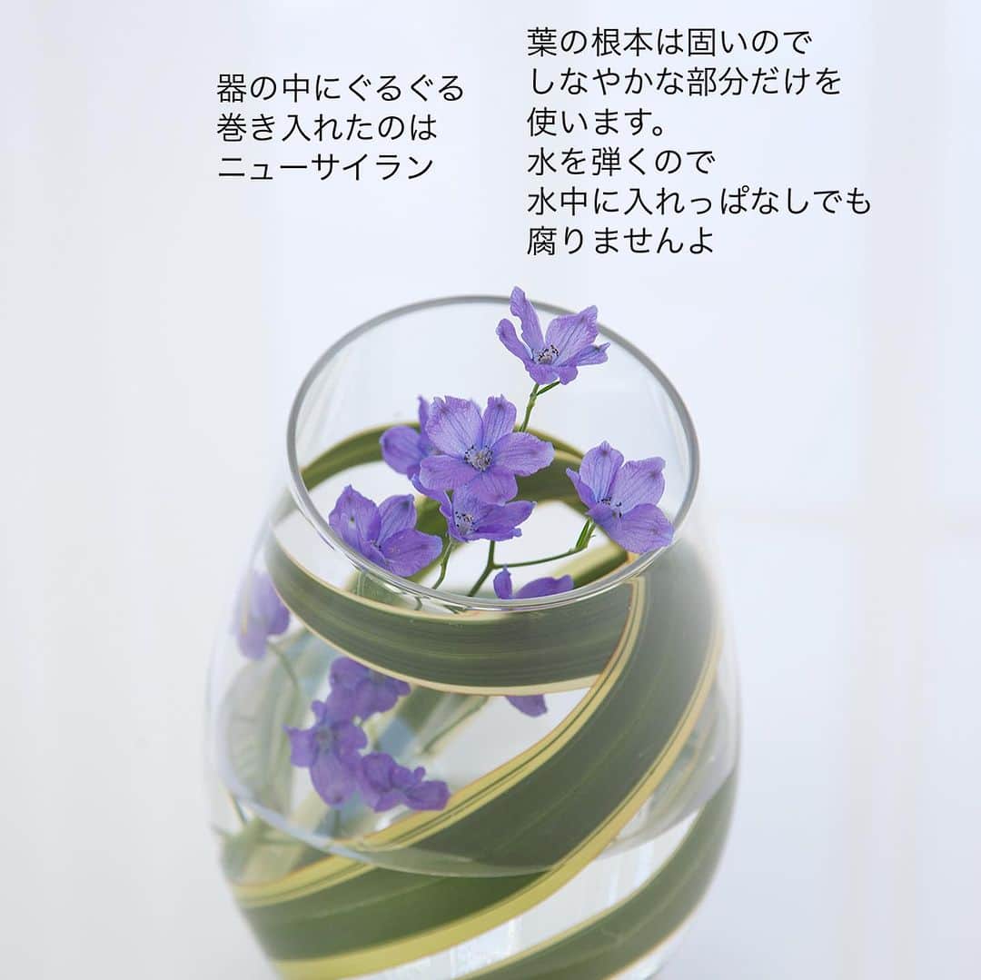 雑誌『花時間』さんのインスタグラム写真 - (雑誌『花時間』Instagram)「こう暑いと、花を飾ることに躊躇しそう？  花時間（@hanajikan_magazine）です。  花1本、葉1本でも素敵に飾れるんです。  花時間では、この方法を「一花一葉（いっかいちよう）」と呼んで、夏の花あしらいの定番にしています。  花が弱りやすい季節だし、長もちするグリーンを選んでみませんか？  今回チョイスしたアンスリウムもニューサイランもハランも、みんな長もち優等生💯  水に浸けても傷まないので、水中に入れて飾っても楽しめるんです。  あとは、長もちグリーンに合わせる花を取っ替え引っ替え。  合わせる花は1本でも、からりと印象が変わって楽しいんです。  花は心のビタミン。猛暑でお疲れ気味のときにこそ、必要ですね！  では、明日も元気smile😊😊😊で素敵な週末をお過ごしください。 byピーターパン  【花時間ニュース】 💜『花時間』から、花の定期便がスタートしました🥰　世界でここだけのバラと旬花が届く嬉しいサービスです💕  💜『花時間2023春夏』〈春のピンク！夏のブルー！〉大好評発売中！  💜『花と短歌でめぐる 二十四節気 花のこよみ』大好評発売中  すべて @hanajikan_magazine のプロフィールのリンクから飛べます✈️  『花時間』本誌や書籍は全国の書店、ネット書店でも発売中✨  #花時間 #フラワーアレンジ #花が好き #花の飾り方  #涼しげに #花が好きな人と繋がりたい #花を飾る #花を飾る生活 #花屋さんへ行こう」7月29日 18時23分 - hanajikan_magazine