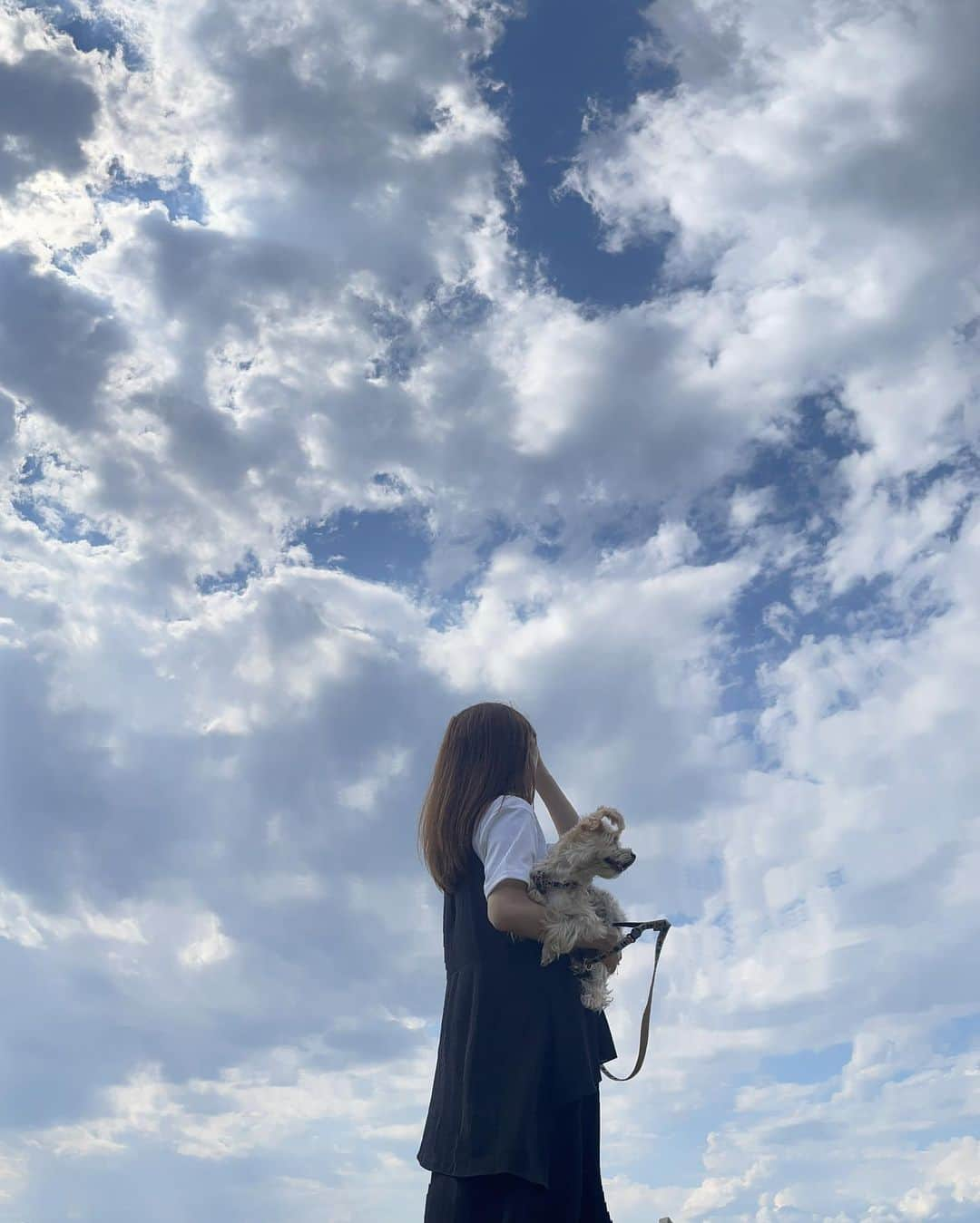 溝口恵さんのインスタグラム写真 - (溝口恵Instagram)「夏の空もきれいですね〜☺️  山梨でドライブ中にたまたま通りかかった景色のよい公園にて休憩した時のお写真です🐶  #ひじめぐ #dog #愛犬 #犬」7月29日 18時41分 - mizomegudesu78