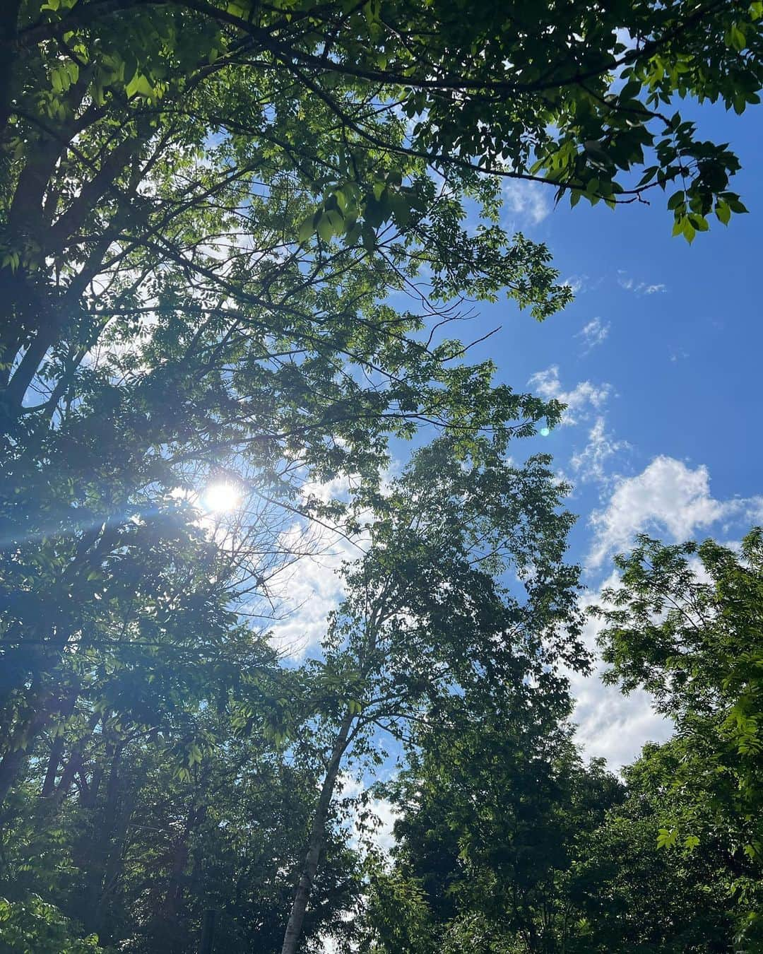 松井由貴美のインスタグラム：「*  夏の北海道は最高🩵 .  大きな青空に真っ白なもくもくの 夏雲☁️ 鮮やかな緑の木々とのコントラストは 眺めてるだけで最高の癒し🌿✨ .  東京は毎日異常な暑さで 避暑地に逃げたくなるね💦 .  ただ夏の北海道ゴルフは 大量の虫との戦いです😇🐝🪲🐛 .  #北海道 #夏 #ゴルフ」