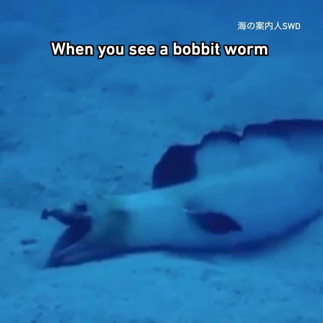 9GAGのインスタグラム