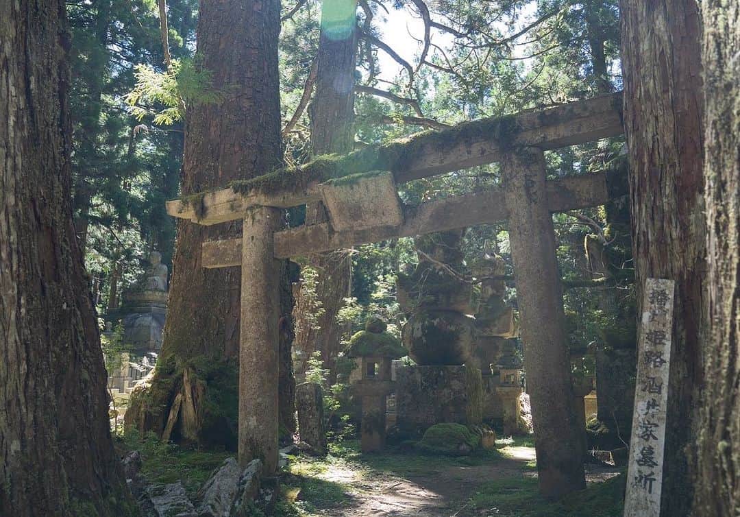 YUKI TAKESHIMAさんのインスタグラム写真 - (YUKI TAKESHIMAInstagram)「高野山は、行くのではなく呼ばれるそうです✨  2年前、高野山奥之院でお化粧地蔵にmakeすると願いが叶う💄と言われ楽しげな未来を予感していました🌈 (swipe2枚目2年前のお地蔵さまはすっぴんではないけど😅ヴィ-ガンコスメBISOUのベ-スメイクが世界中の人の魅力を引き出したいそう願いました🔥) スワルリトリートで実現した高野山の旅で再びメイクバッチリのお化粧地蔵と再会✨ニーマル先生の瞑想を通じてご縁の旅に感謝🙏  この旅で journey into myself.(自分の内側への旅)への入り口に空海に呼ばれた気がします🔥 旅の目的は Journey back to your true self🌎 本来の自分に戻る事🌈 それは沈黙の時間を過ごし外側からの情報を断ち五感からも離れ一切言葉も使わず誰とも目も合わさない瞑想です。  外側からの情報に惑わされ自身がコントロール出来ない状態を断ち切り 意識を内側に向けて自分の波動を整える✨  そうすれば心に溜めた穢れはどんどんと浄化されていき純粋な意識がわかるようになるそうです。  決して難しい事ではなく、 素直でピュアで思いやりのある愛に溢れた自身に戻っていく事だと感じました♥️  Feel yourself glowing_from the inside 内側から輝く自分を感じる (作る)  高野山は空海が築いた仏教の聖地だそうですがそれ以上に寺も神社もどの宗教も受け入れる懐の深さと愛を感じ取れました。 ご先祖様に感謝しカルマを知る。  Spiritual Journey Begins💥 スピリチュアルジャーニーの旅は始まったばかりで 日常生活に取り入れていこうと思います🌈🌎  スワルのスタッフの皆さん ありがとうございました🙏  @suwaru_retreat_tour  @suwaru_meditation  @nirmal1976  @ishikos  @pure_plants_organics   #高野山に呼ばれる  #スピリチュアルジャーニー  #insideglow  #弁天様 #サラスワティ  #高野山 #リトリート #奥之院 #壇上伽藍 #嶽弁天  #お化粧地蔵 #弘法大師 #空海 #ご先祖様に感謝  #カルマ」7月29日 19時24分 - yukimake