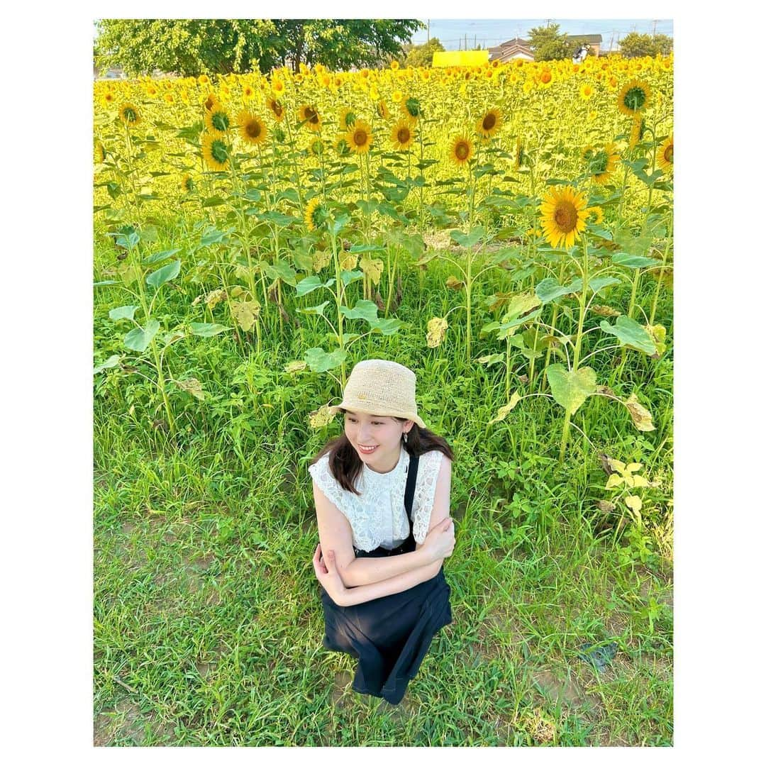 宇賀神メグさんのインスタグラム写真 - (宇賀神メグInstagram)「🌻  . .  毎年家族で行っているひまわり畑へ。🌻 約10万本のひまわりが見頃を迎えていて 一面黄金色の景色は圧巻の美しさでした。 朝早くに行ったので 日陰は心地よい風が吹いていて涼しかったです。  毎日暑い日が続いていますので 皆さんご自愛ください。  . .  #向日葵 #ひまわり畑 #ひまわり #朝活 #sunflower #🌻」7月29日 21時44分 - ugajin_megu